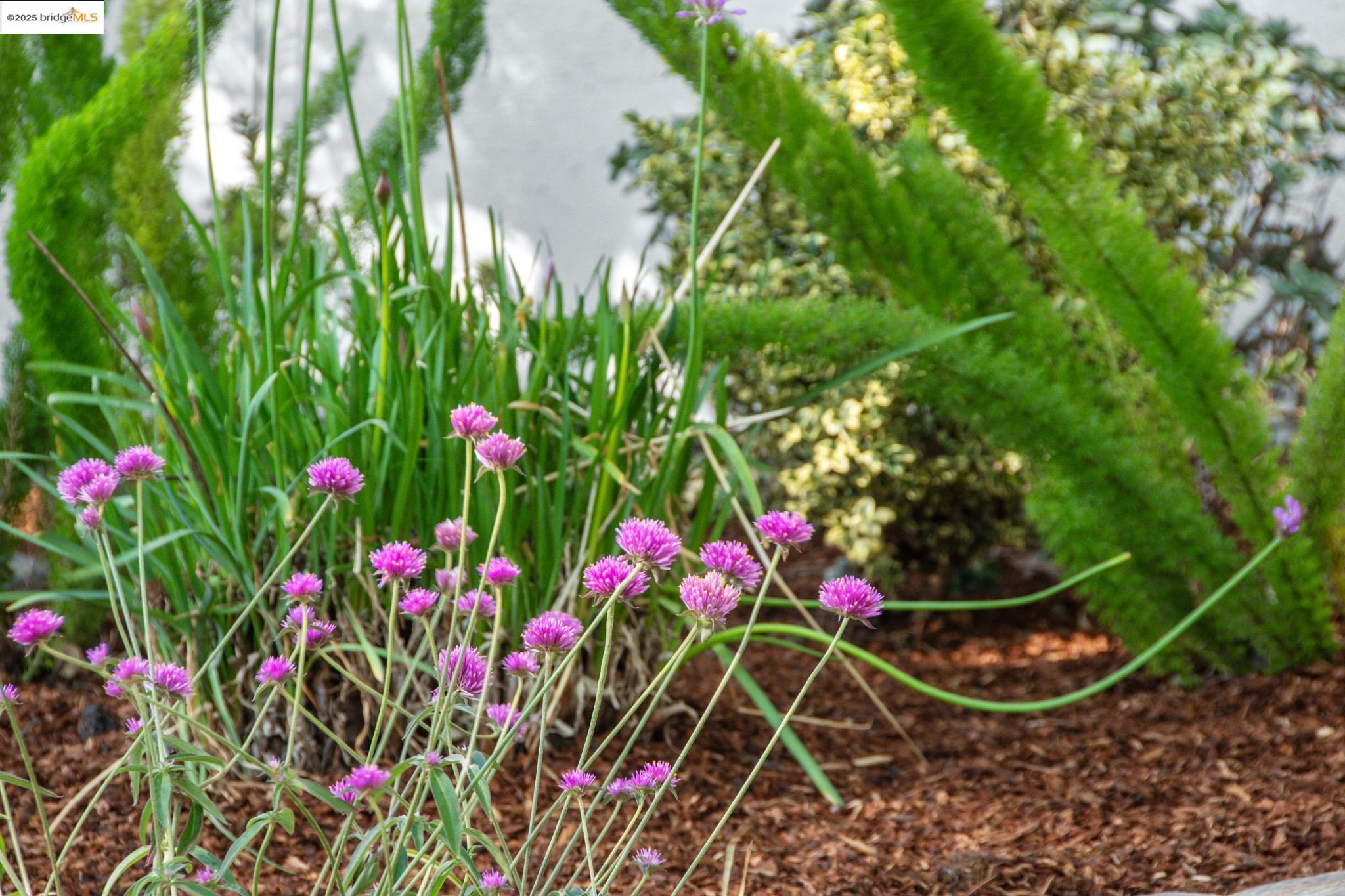 Detail Gallery Image 3 of 49 For 468 60th St, Oakland,  CA 94609 - 2 Beds | 2 Baths
