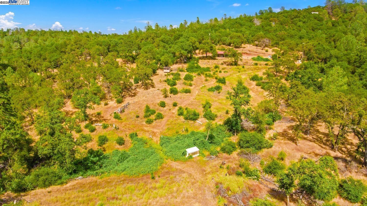 Detail Gallery Image 44 of 46 For 1170 Graceland Pl, Pilot Hill,  CA 95664-9668 - 3 Beds | 2 Baths