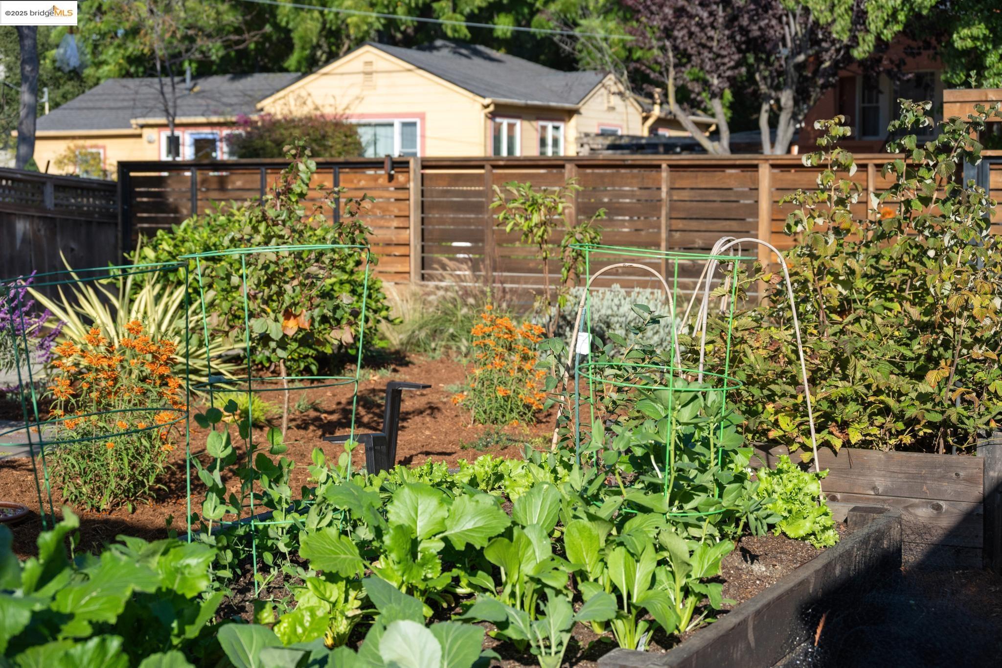 Detail Gallery Image 7 of 37 For 1200 Cornell Ave, Berkeley,  CA 94706 - 1 Beds | 1 Baths