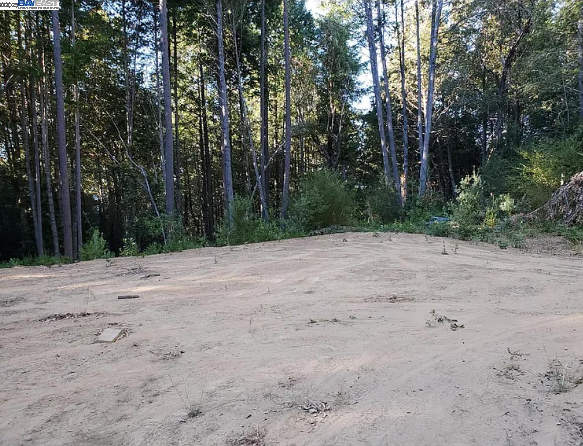 Detail Gallery Image 16 of 17 For 605 Rancho Sequoia Dr, Alderpoint,  CA 95511 - – Beds | – Baths