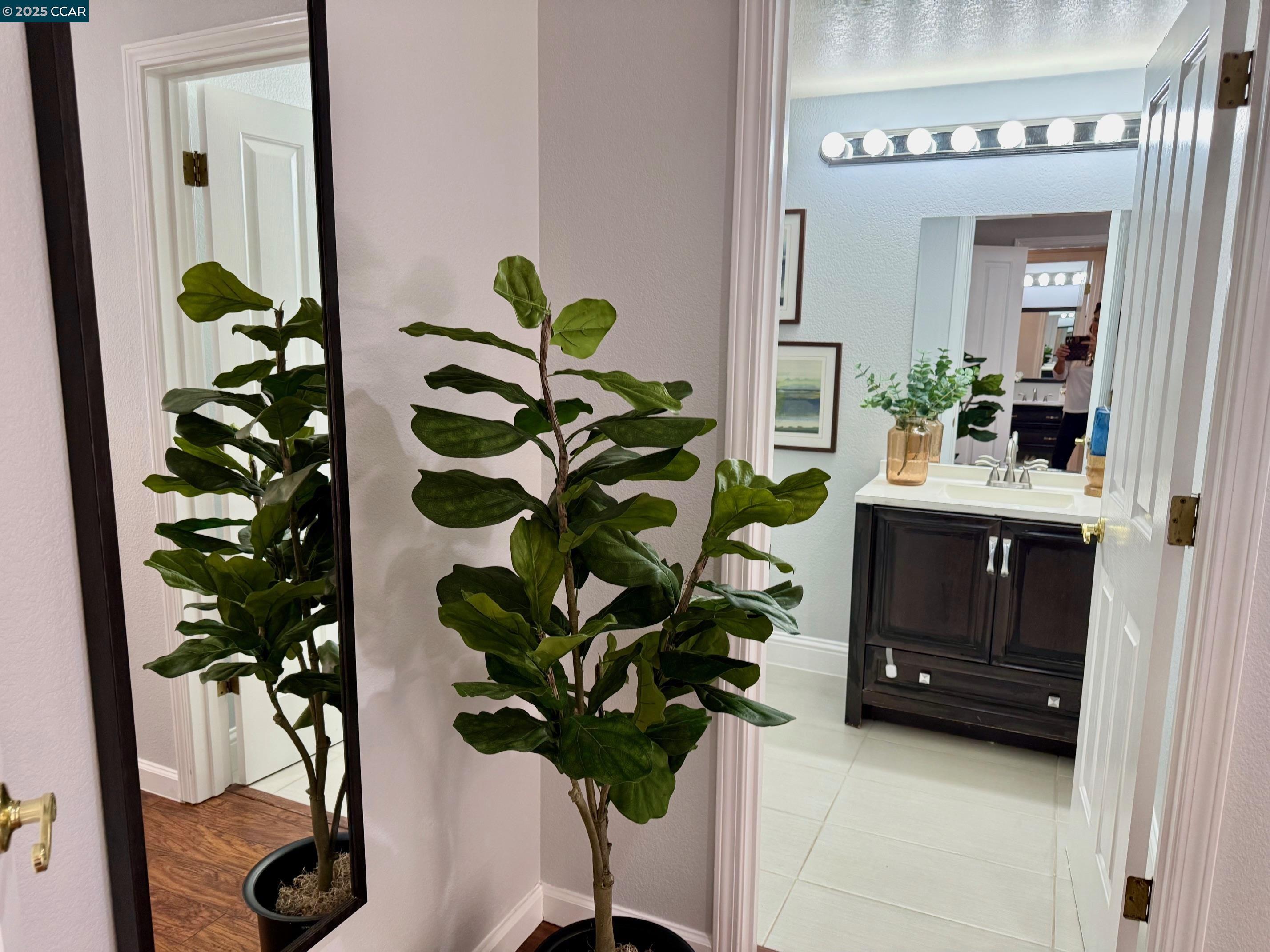 Photo #19: 41115526 Listing: Photo #19
