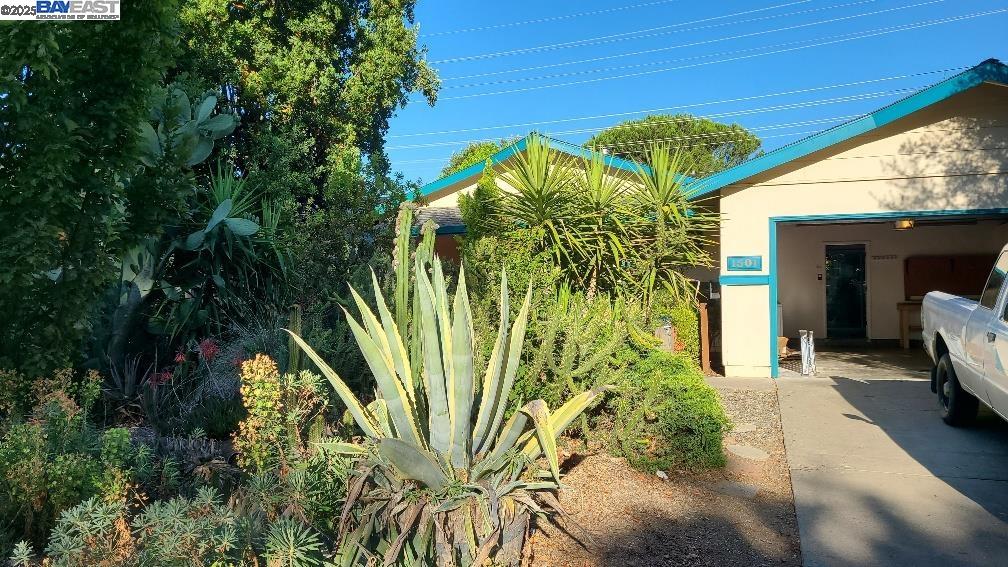 Front Image Thumbnail for BE41115530