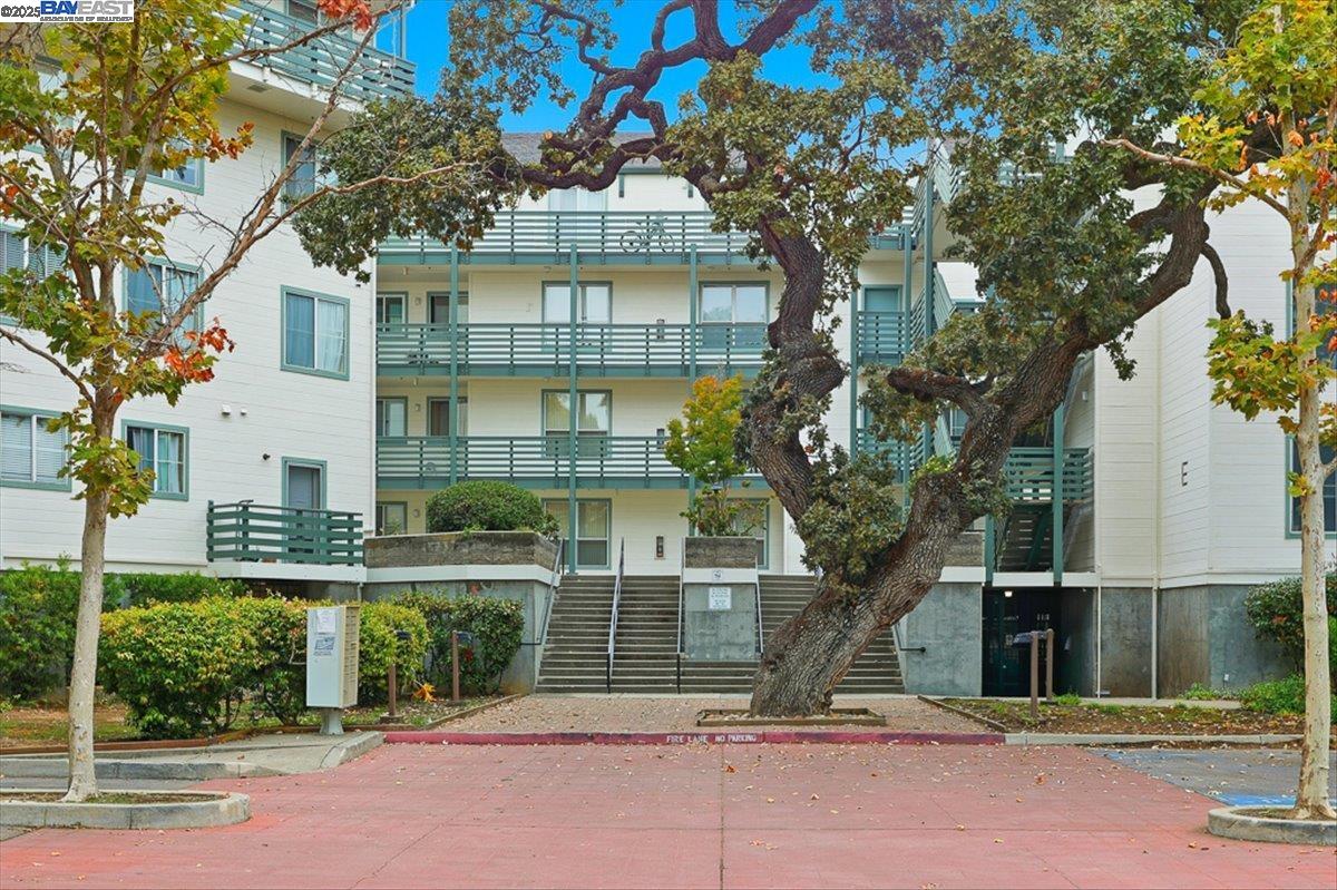 Front Image Thumbnail for BE41115565