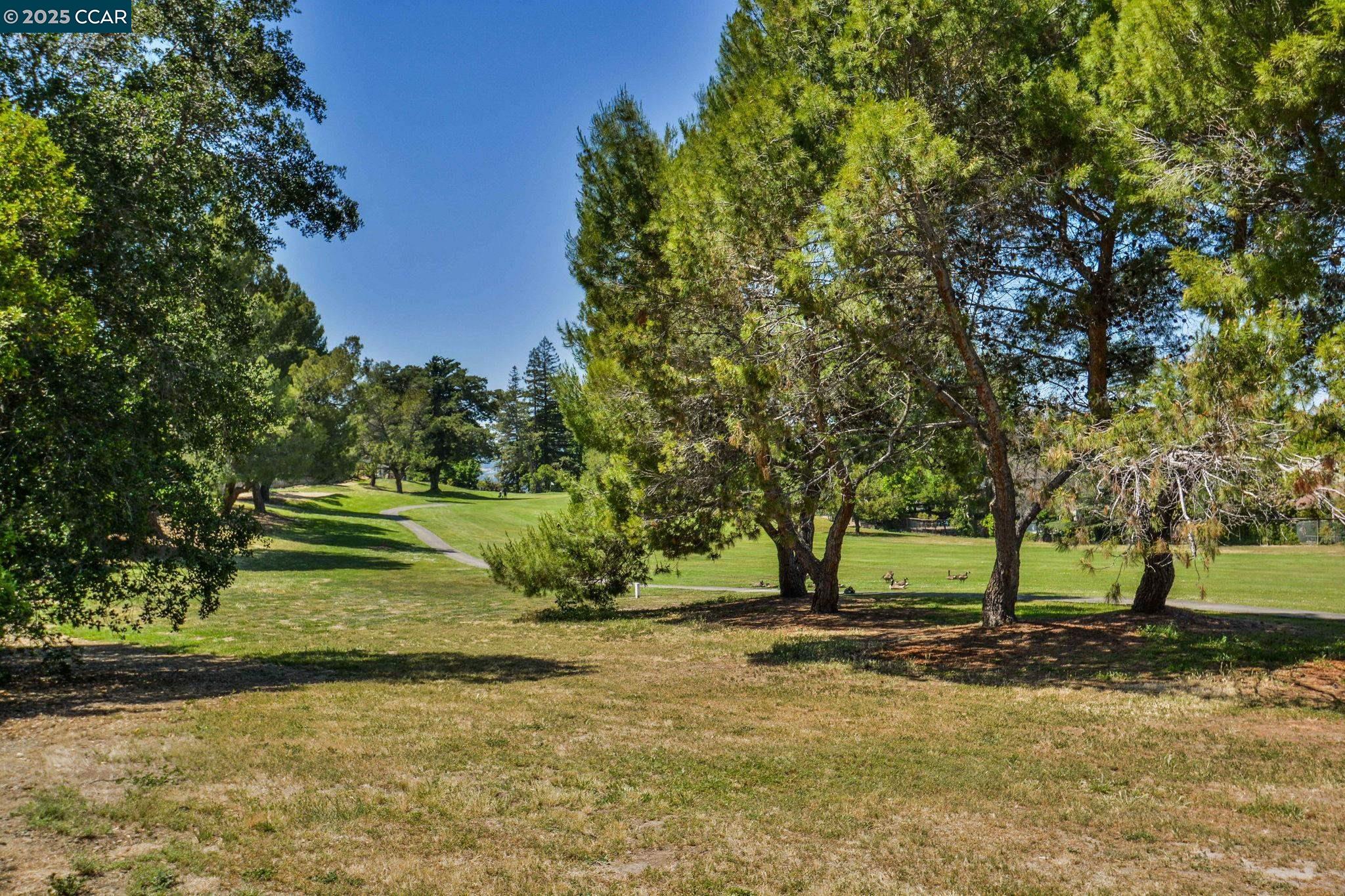 Photo #25: 41115613 Listing: Photo #25