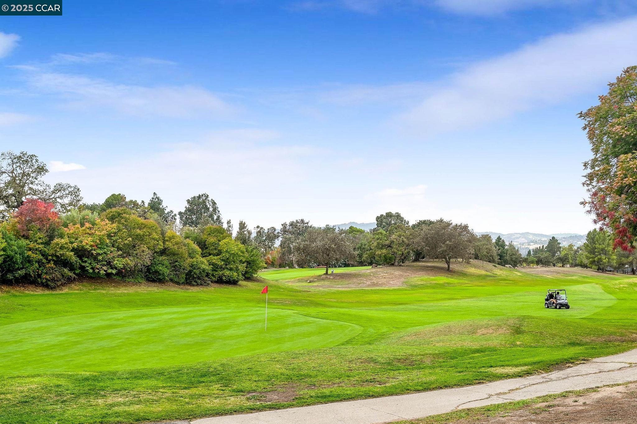 Photo #31: 41115613 Listing: Photo #31