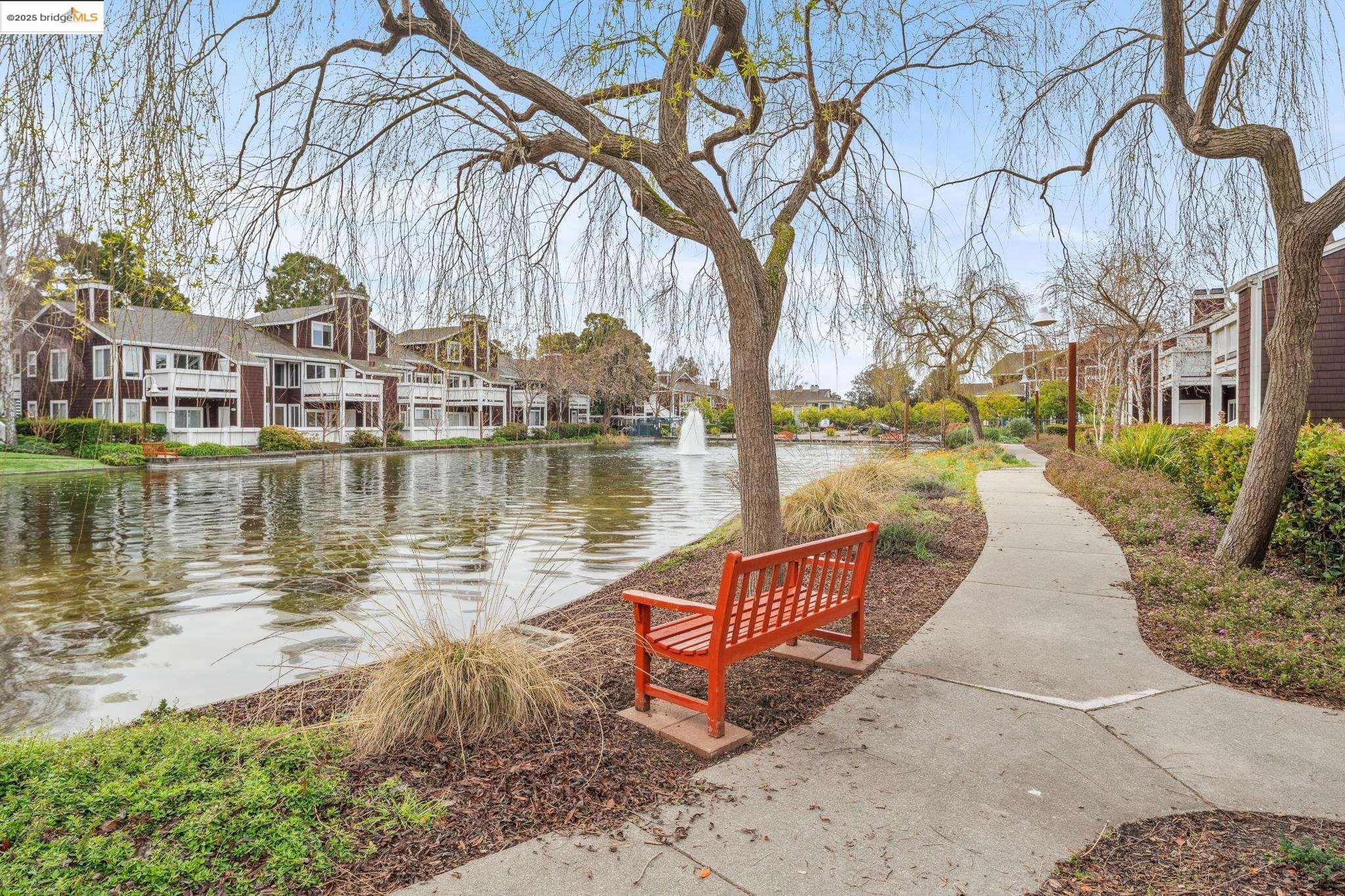 Photo #37: 41115618 Listing: Photo #37