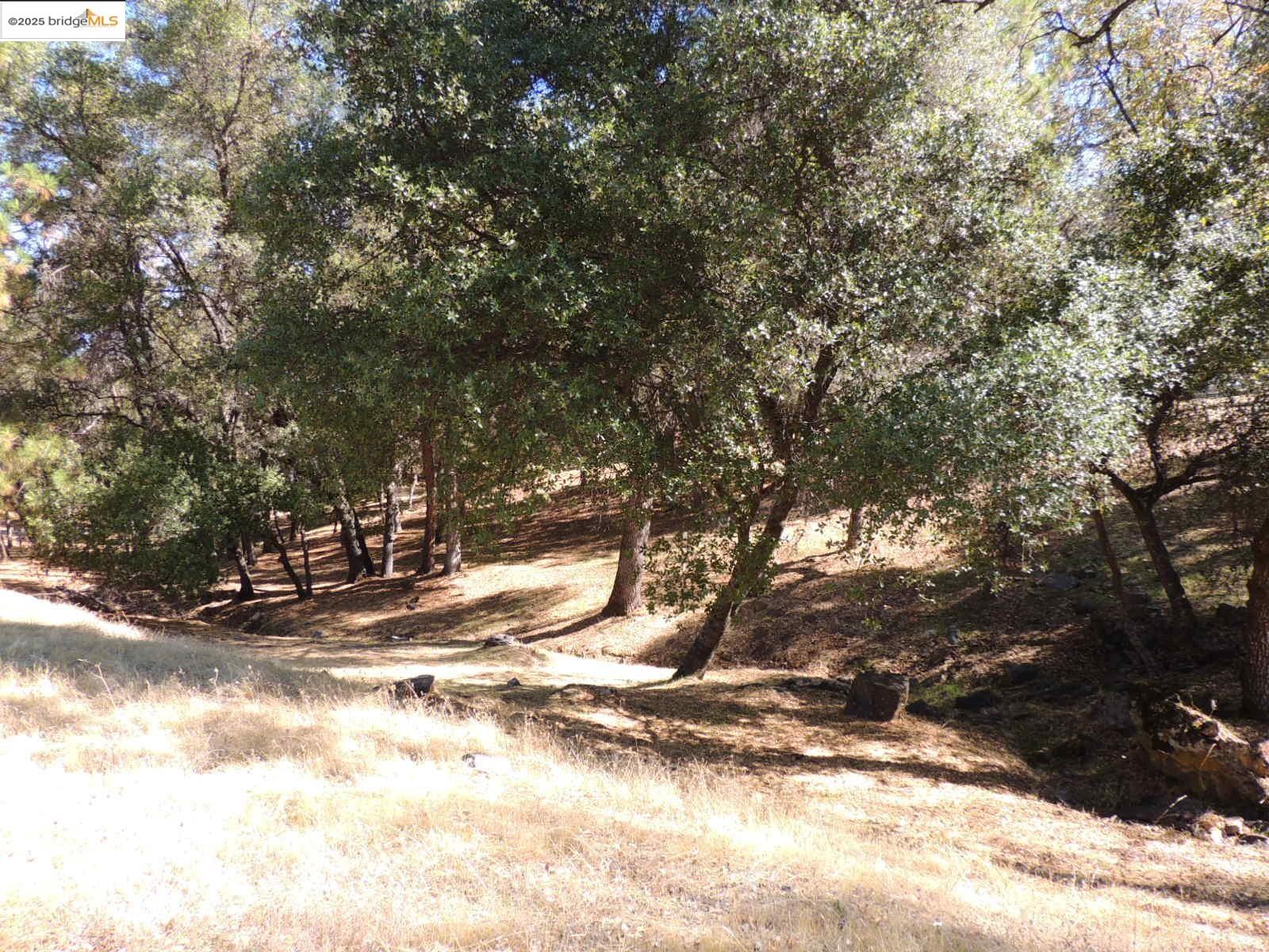 Detail Gallery Image 4 of 28 For 7 62a Ferretti Rd., Groveland,  CA 95321-9337 - – Beds | – Baths