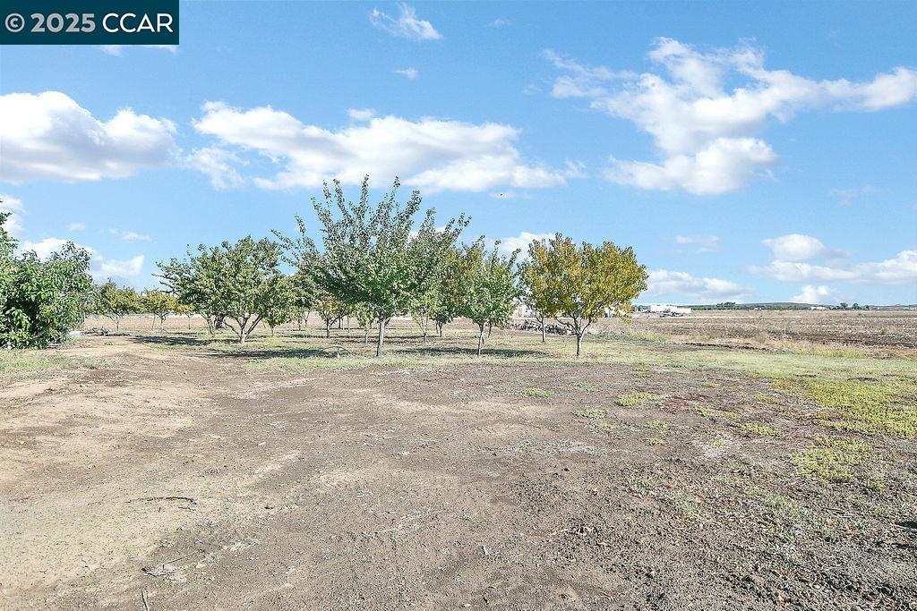 Detail Gallery Image 51 of 57 For 2280 Concord Ave, Brentwood,  CA 94513 - 5 Beds | 3/1 Baths