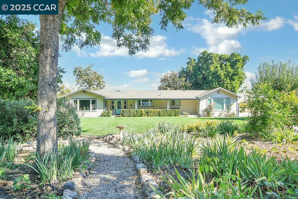 Detail Gallery Image 8 of 57 For 2280 Concord Ave, Brentwood,  CA 94513 - 5 Beds | 3/1 Baths