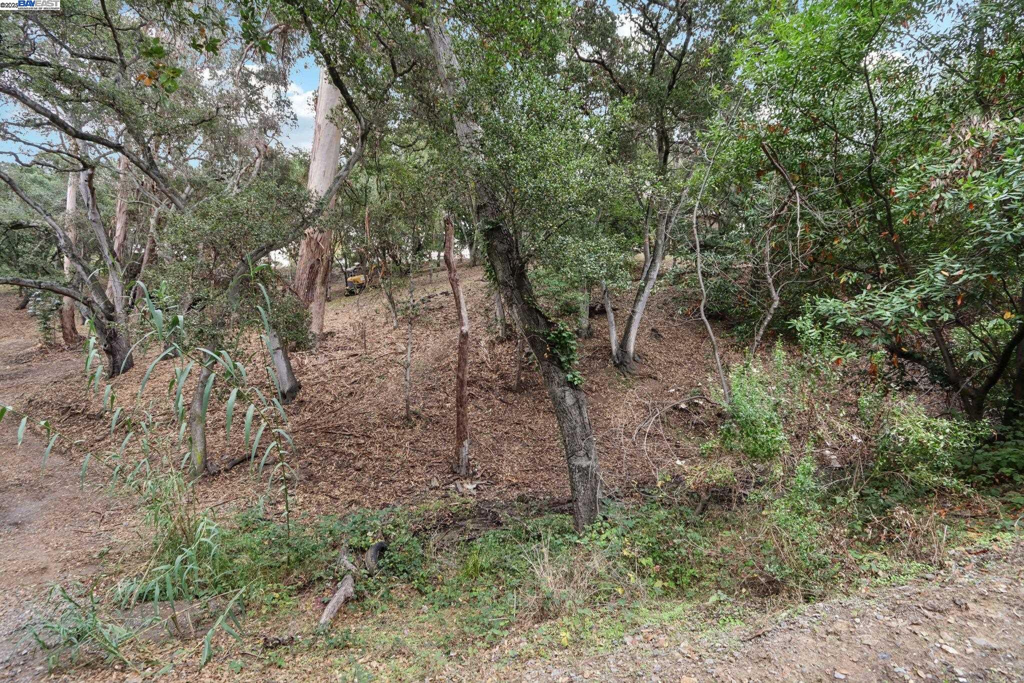 Detail Gallery Image 18 of 27 For 0 Hidden Oaks, Hayward,  CA 94541 - – Beds | – Baths