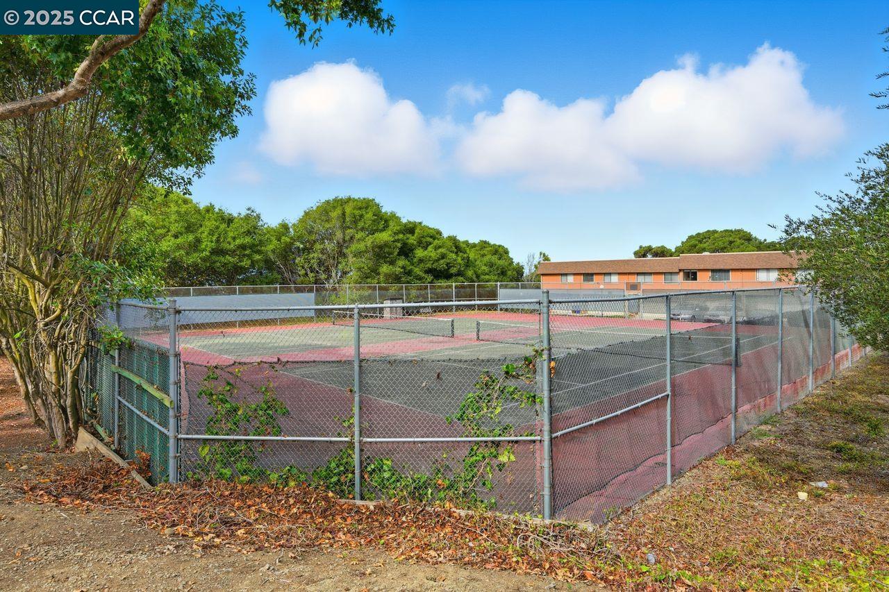 Photo #25: 41115738 Listing: Photo #25