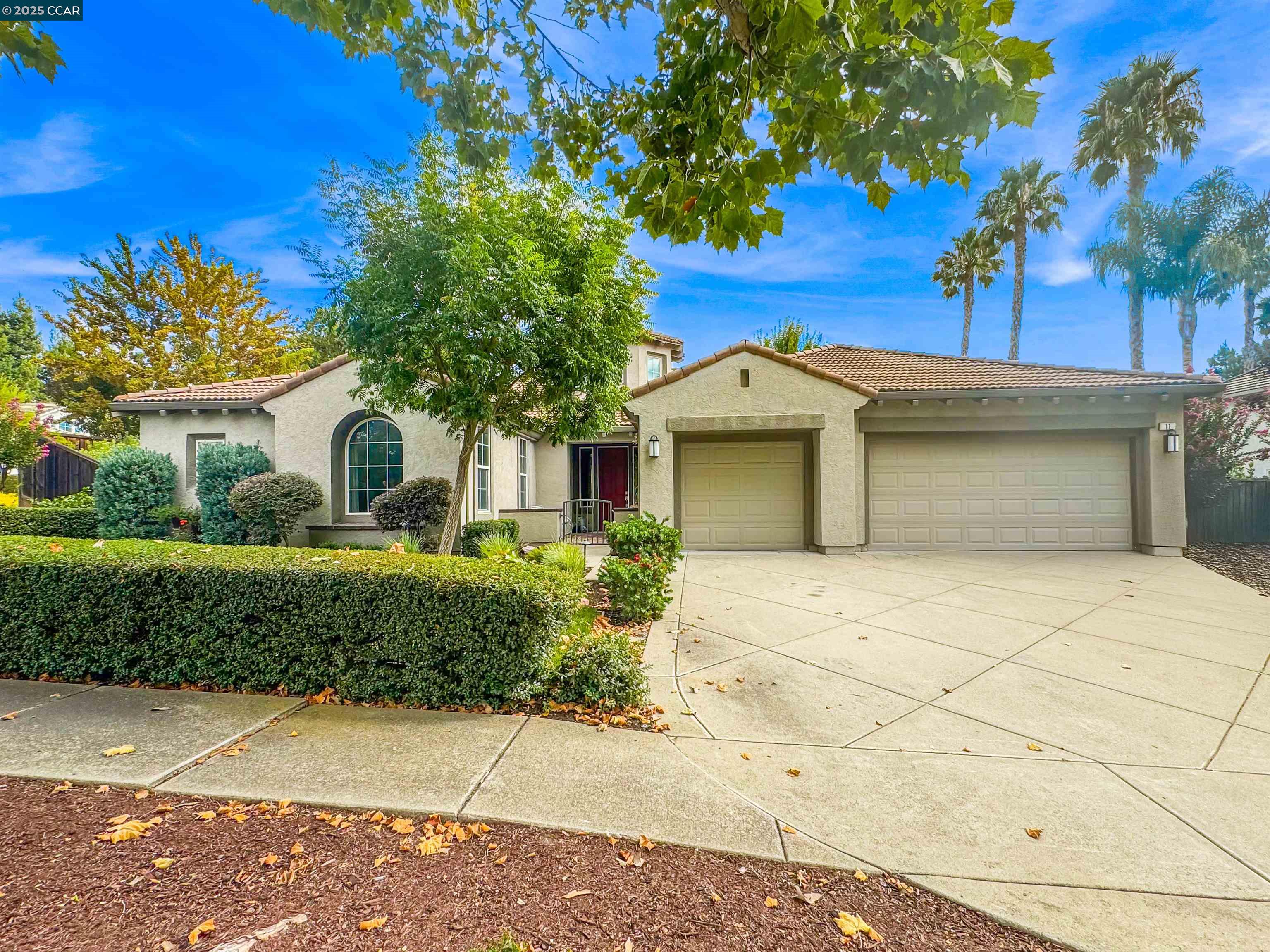 Front Image Thumbnail for CC41115752