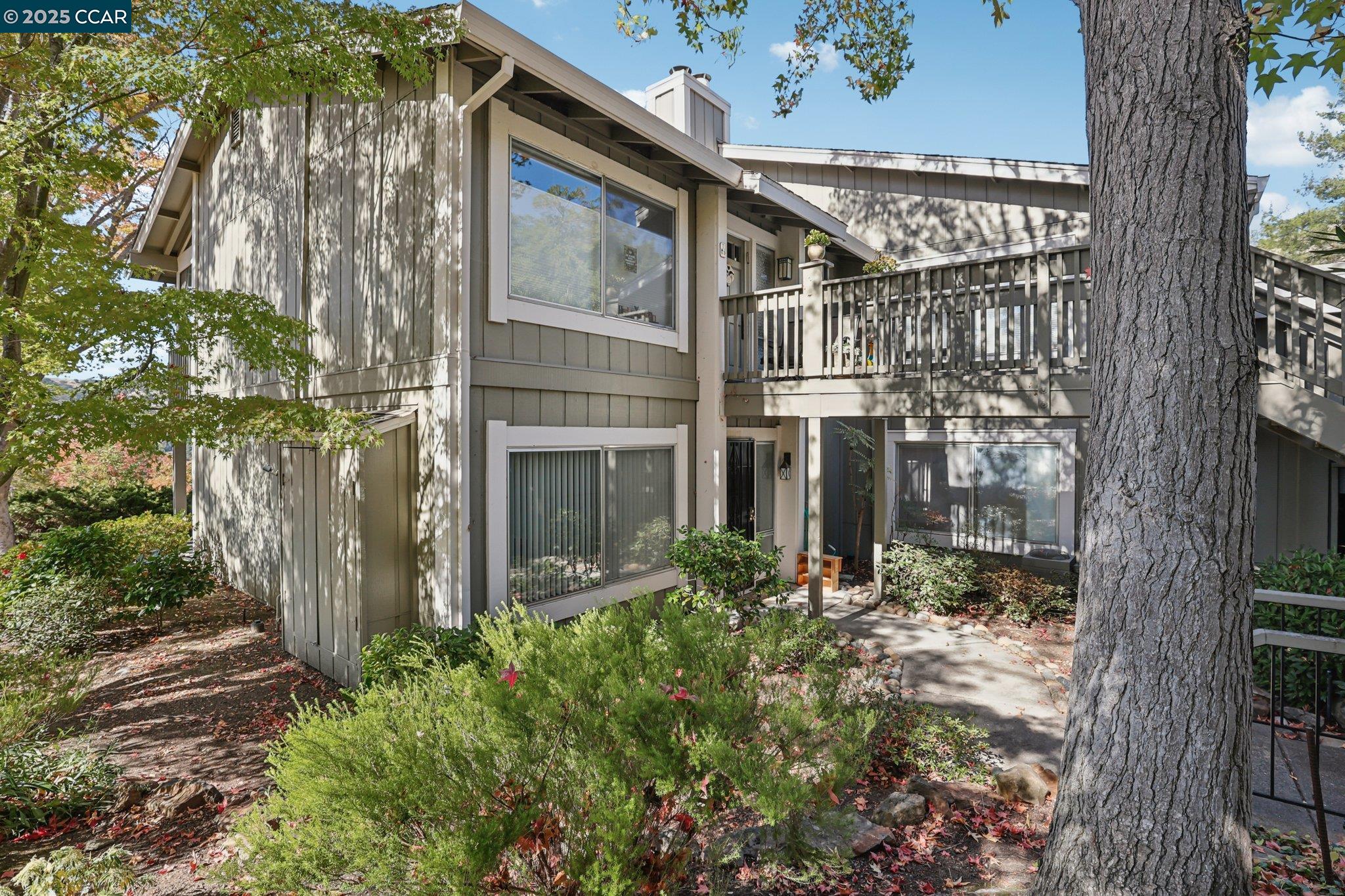 Front Image Thumbnail for CC41115768