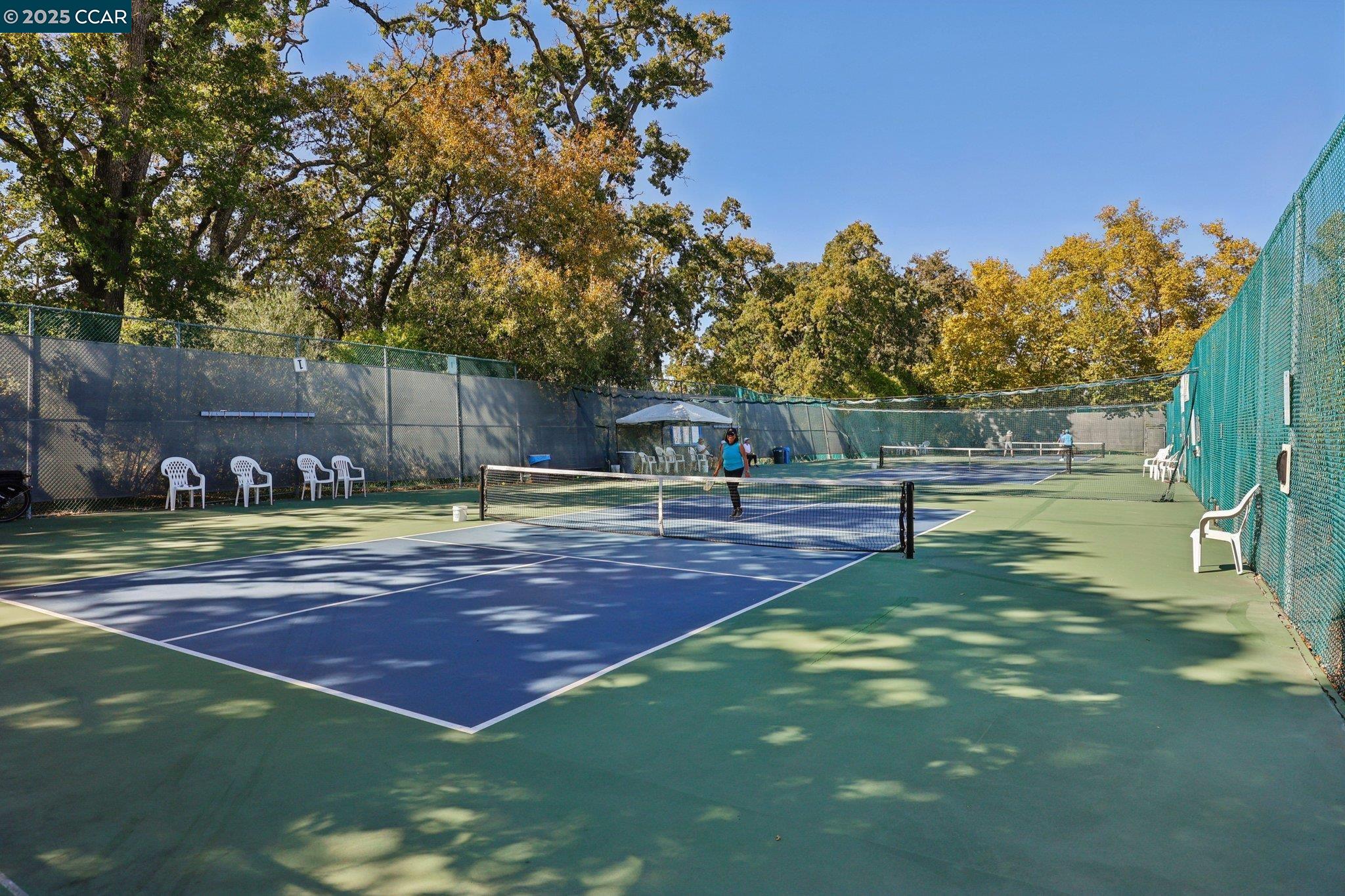 Photo #33: 41115768 Listing: Photo #33