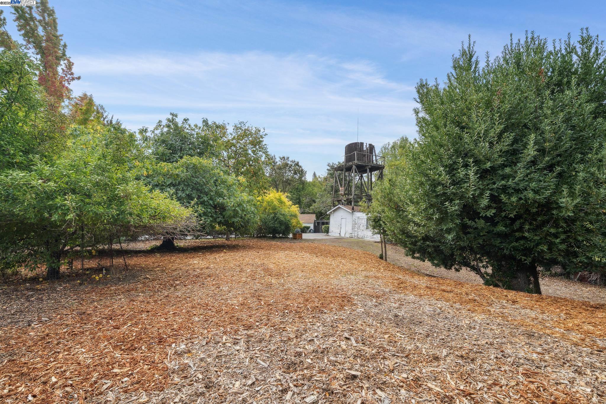 Detail Gallery Image 6 of 60 For 175 Richard Ln, Walnut Creek,  CA 94595 - – Beds | – Baths