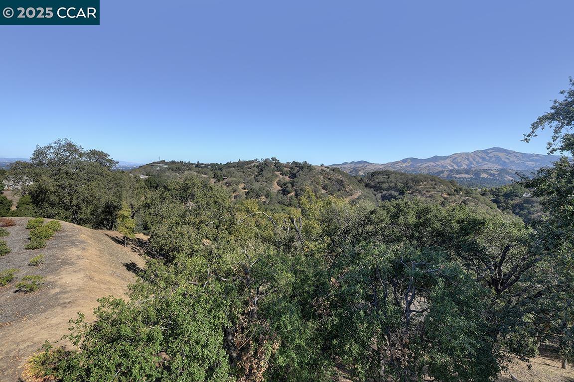 Photo #31: 41115856 Listing: Photo #31