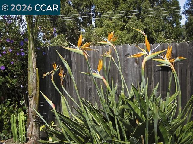 Detail Gallery Image 45 of 49 For 362 Summit Ct, Pinole,  CA 94564 - 3 Beds | 2 Baths