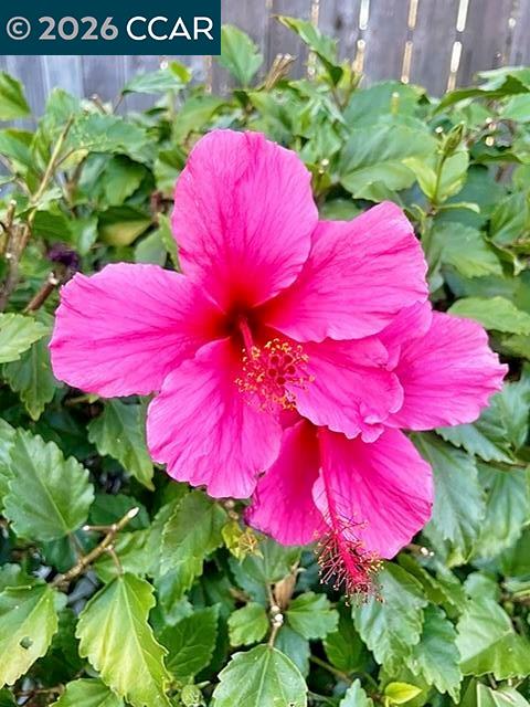 Detail Gallery Image 46 of 49 For 362 Summit Ct, Pinole,  CA 94564 - 3 Beds | 2 Baths