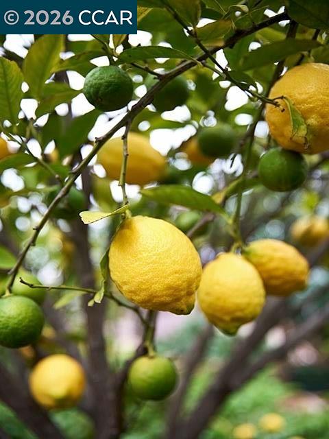 Detail Gallery Image 47 of 49 For 362 Summit Ct, Pinole,  CA 94564 - 3 Beds | 2 Baths