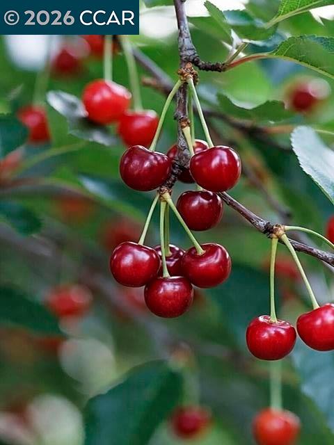 Detail Gallery Image 48 of 49 For 362 Summit Ct, Pinole,  CA 94564 - 3 Beds | 2 Baths