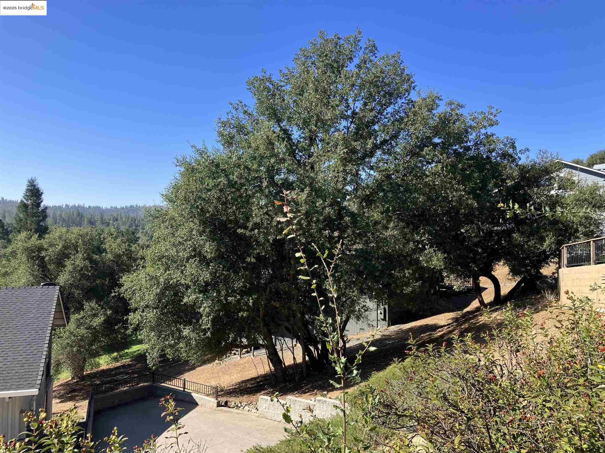 Front Image Thumbnail for EB41115934