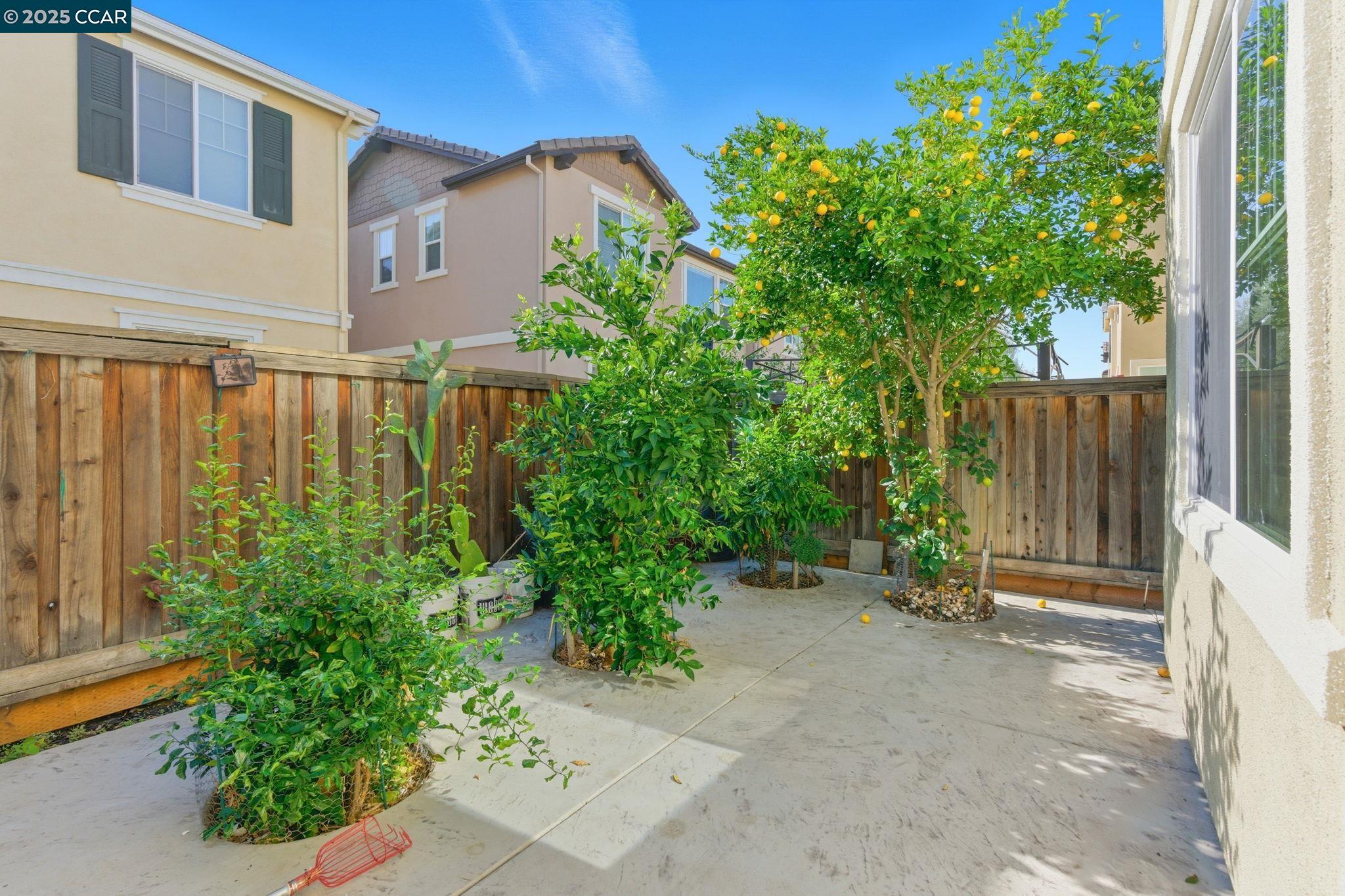 Detail Gallery Image 41 of 46 For 304 Pacifica Dr, Brentwood,  CA 94513 - 5 Beds | 3 Baths