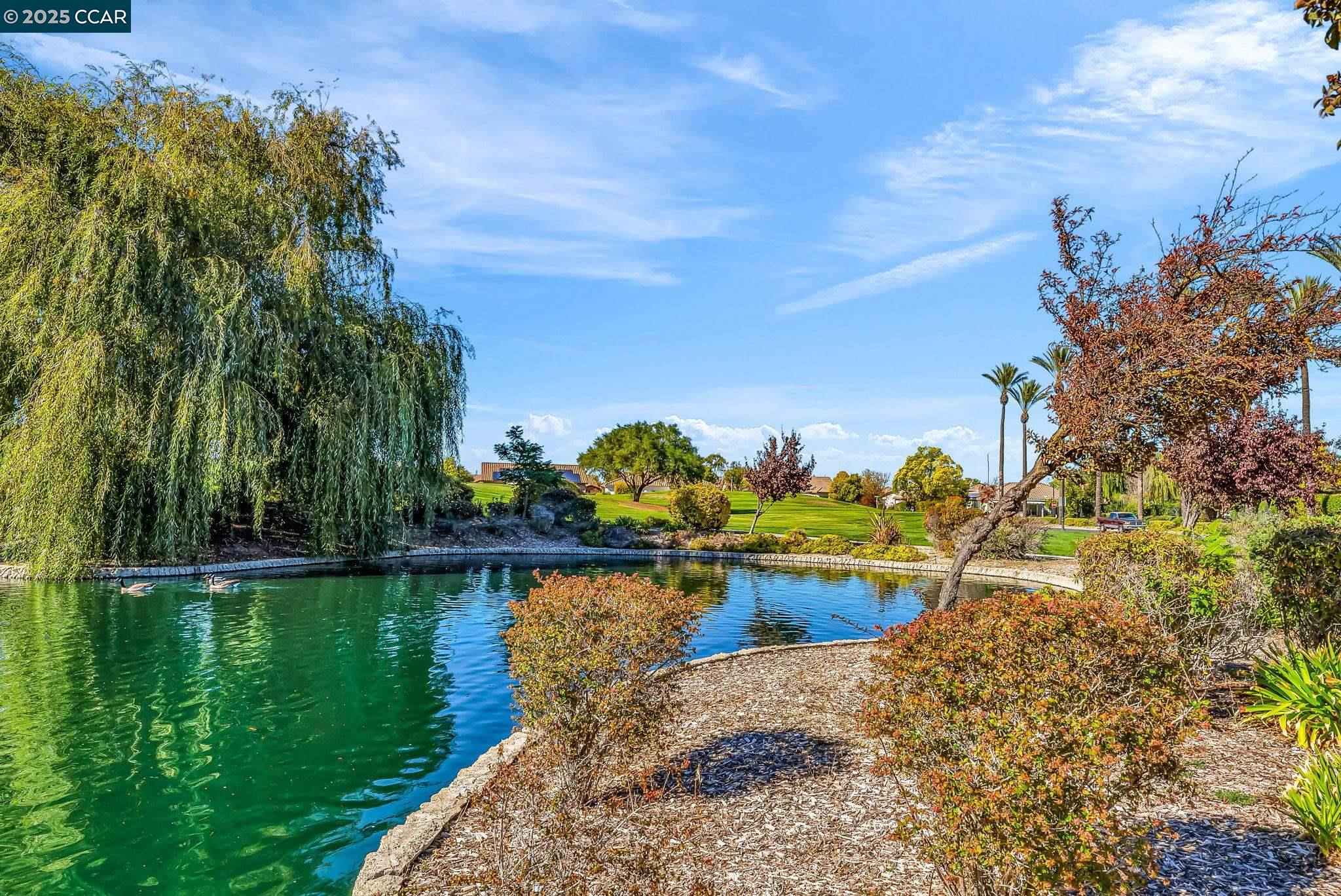 Detail Gallery Image 56 of 60 For 900 Brookside Ln, Rio Vista,  CA 94571 - 2 Beds | 2 Baths