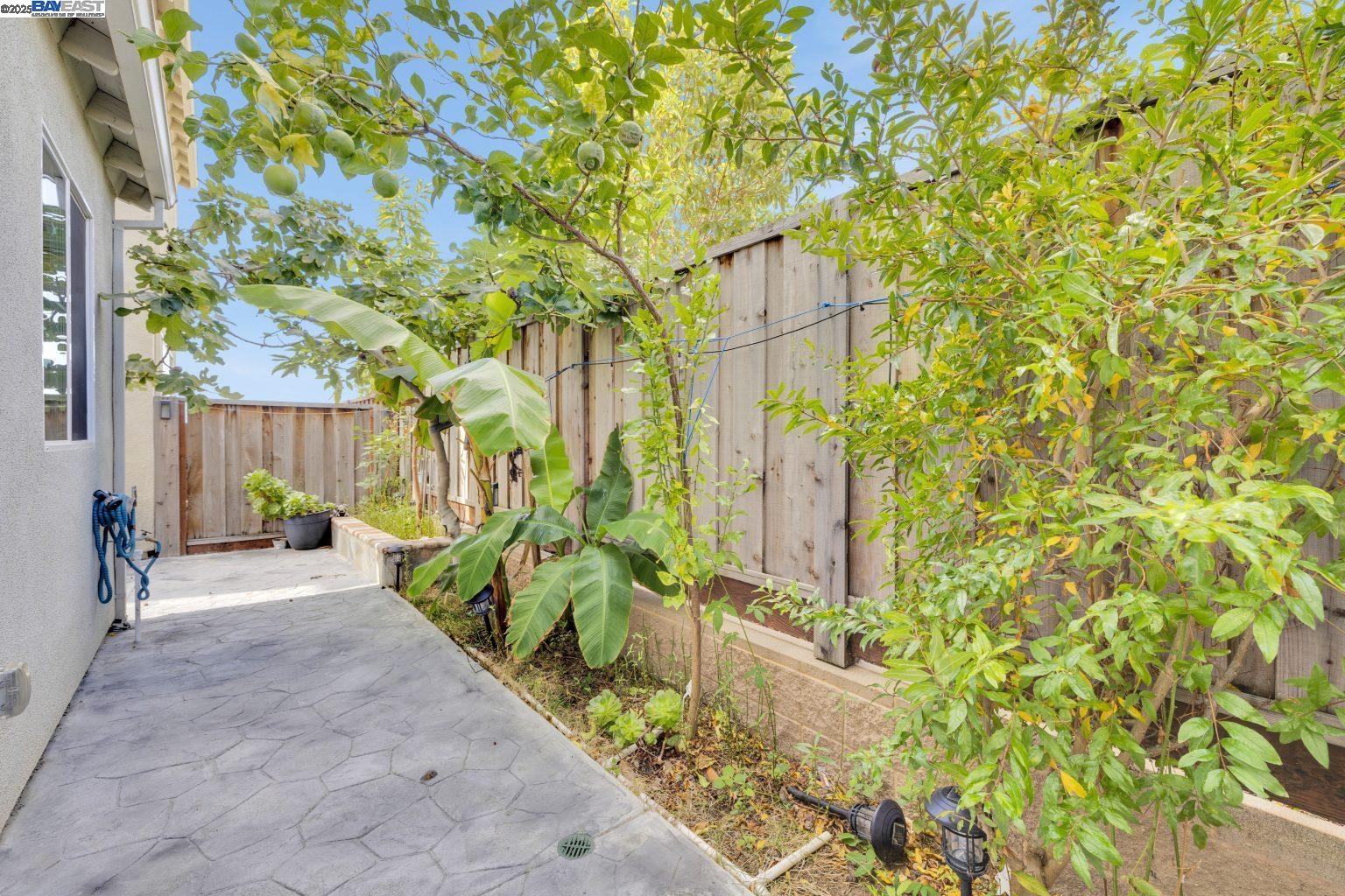 Detail Gallery Image 44 of 49 For 38020 Salty Cove Rd, Newark,  CA 94560 - 4 Beds | 2/1 Baths