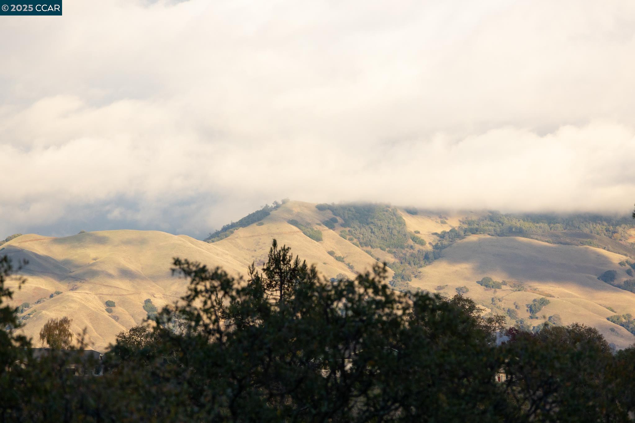 Detail Gallery Image 38 of 59 For 3535 Terra Granada Dr 1b,  Walnut Creek,  CA 94595 - 2 Beds | 2 Baths