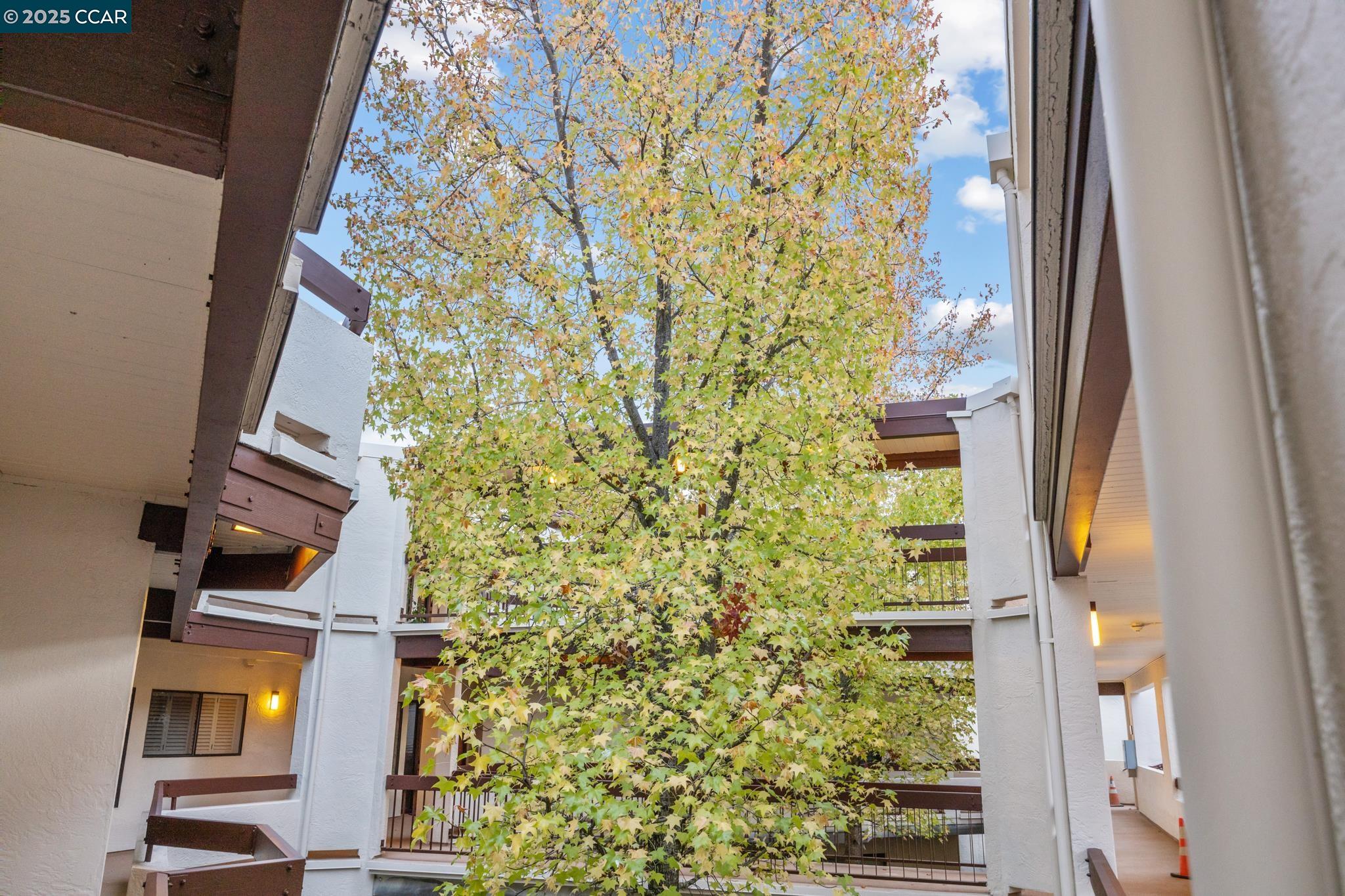 Detail Gallery Image 44 of 59 For 3535 Terra Granada Dr 1b,  Walnut Creek,  CA 94595 - 2 Beds | 2 Baths