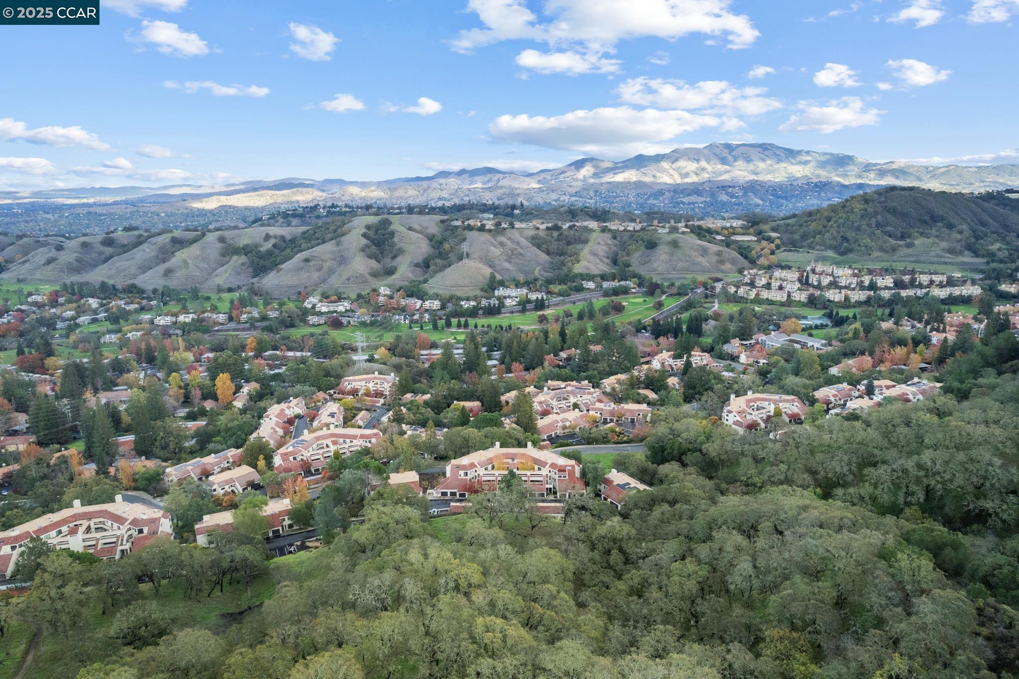 Detail Gallery Image 50 of 59 For 3535 Terra Granada Dr 1b,  Walnut Creek,  CA 94595 - 2 Beds | 2 Baths