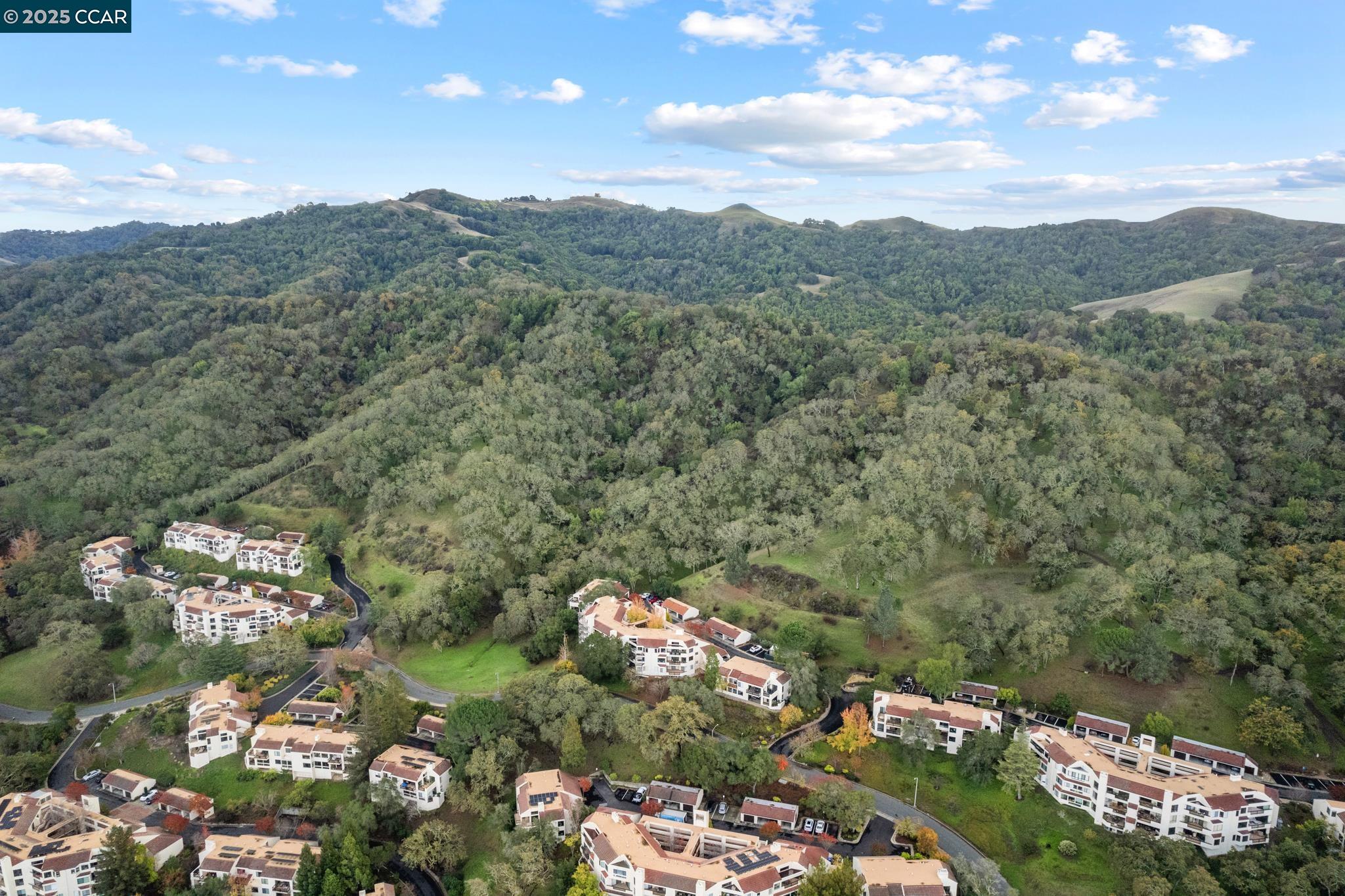 Detail Gallery Image 53 of 59 For 3535 Terra Granada Dr 1b,  Walnut Creek,  CA 94595 - 2 Beds | 2 Baths