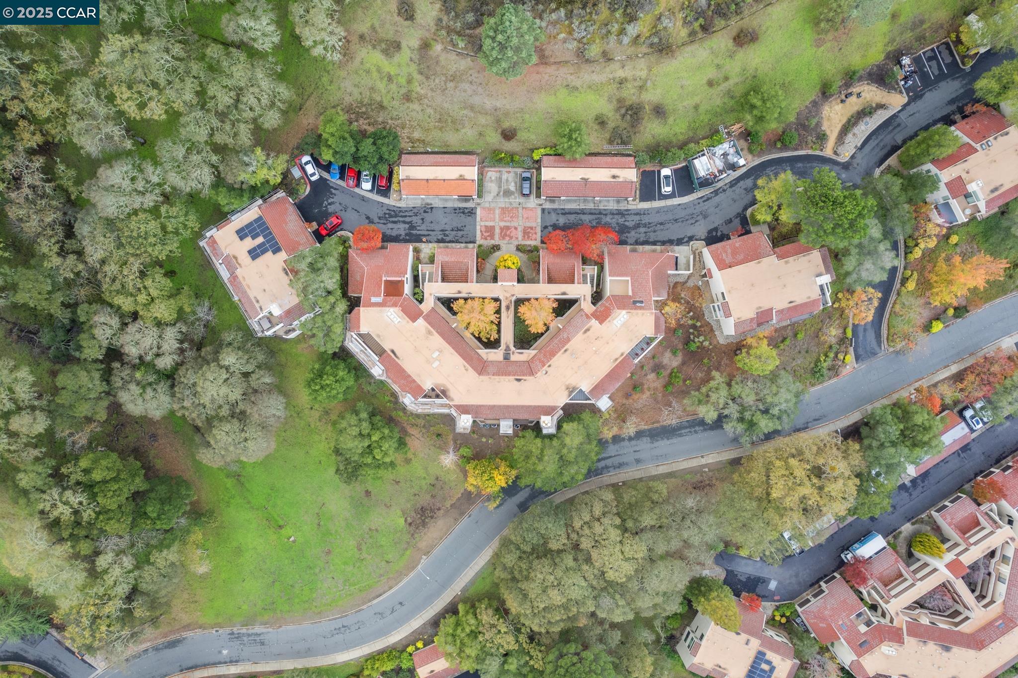 Detail Gallery Image 54 of 59 For 3535 Terra Granada Dr 1b,  Walnut Creek,  CA 94595 - 2 Beds | 2 Baths