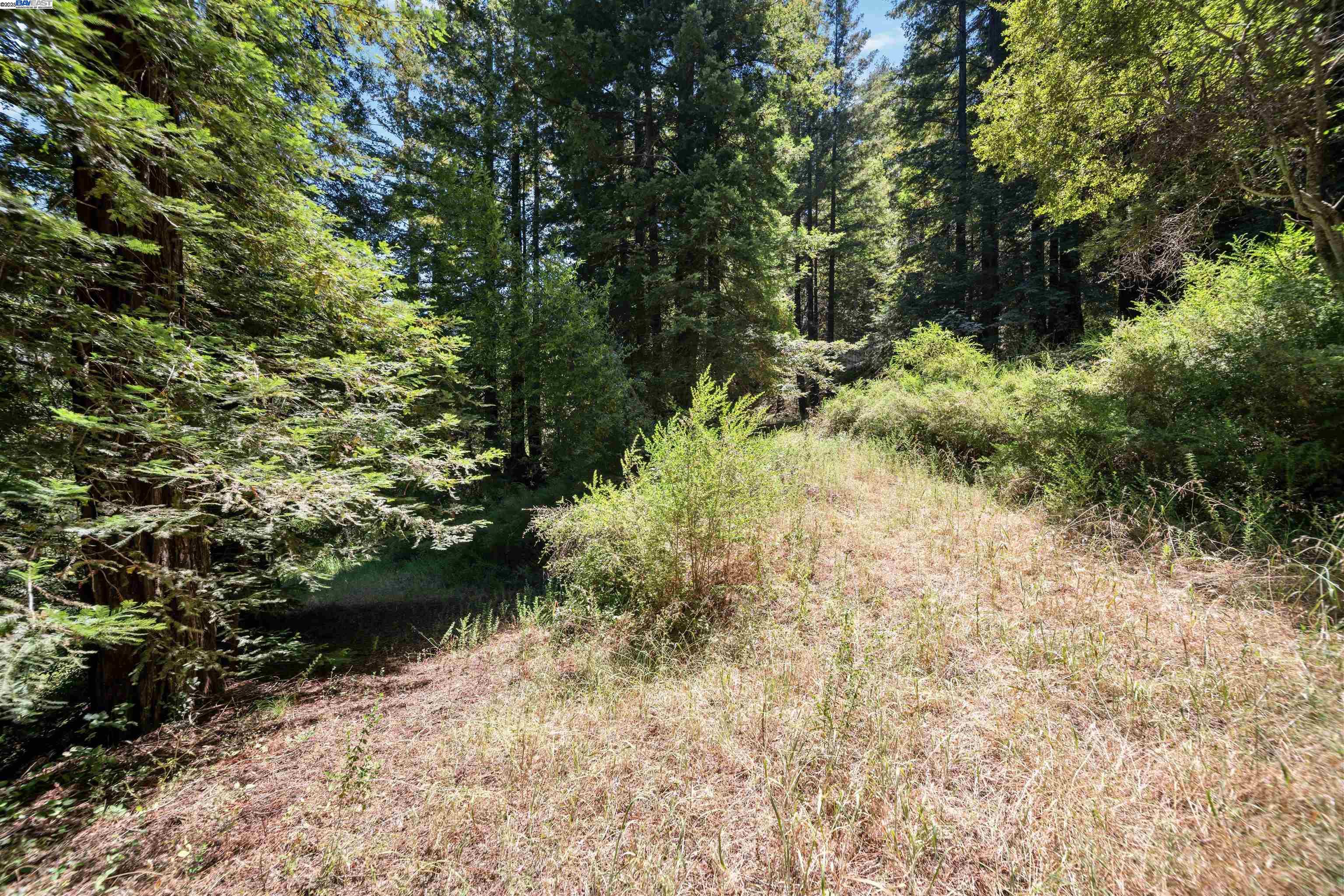 Detail Gallery Image 43 of 49 For 2305 Bear Canyon Rd, Los Gatos,  CA 95033 - 3 Beds | 2 Baths