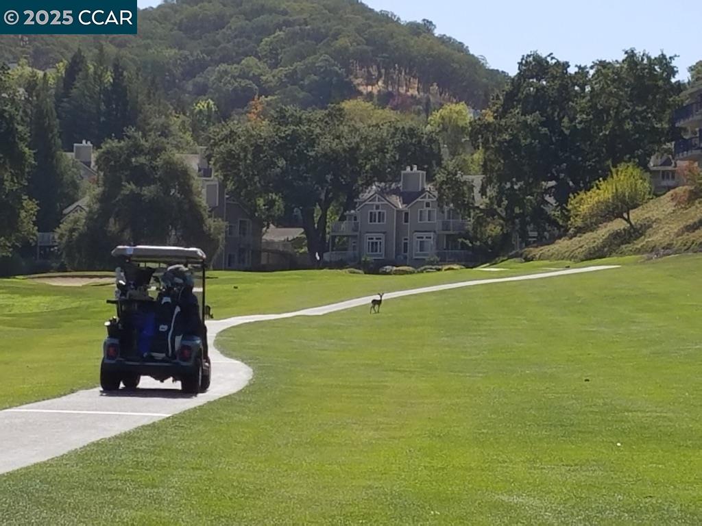 Photo #44: 41116063 Listing: Photo #44