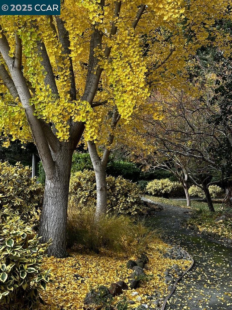 Photo #46: 41116063 Listing: Photo #46