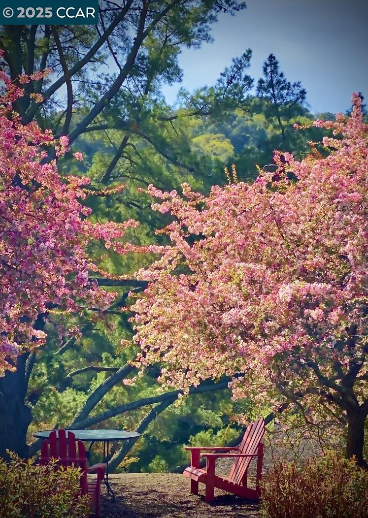 Photo #47: 41116063 Listing: Photo #47