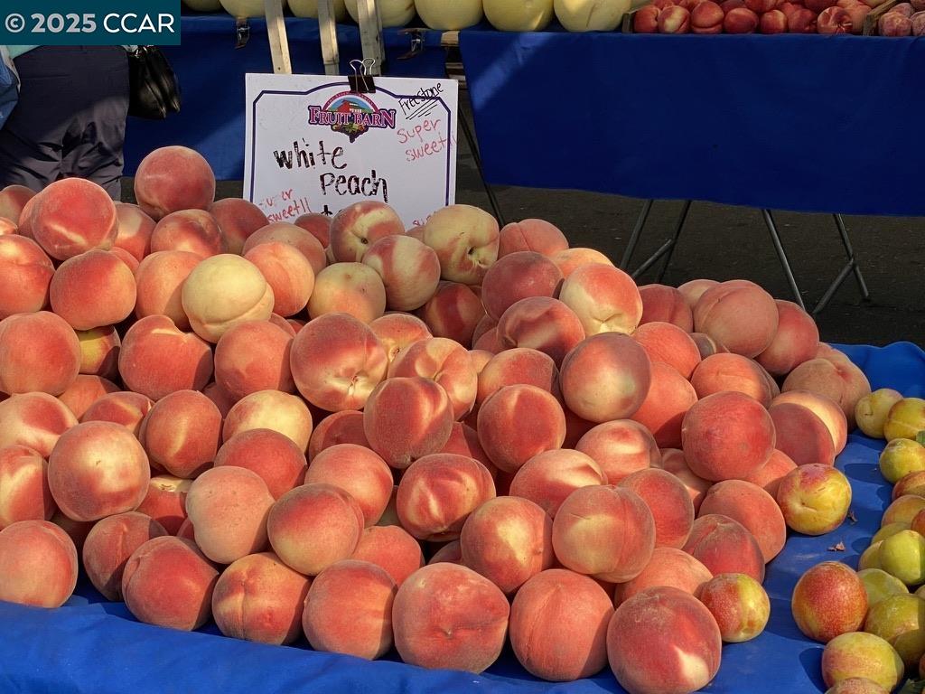 Photo #48: 41116063 Listing: Photo #48