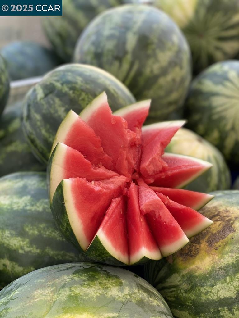 Photo #49: 41116063 Listing: Photo #49