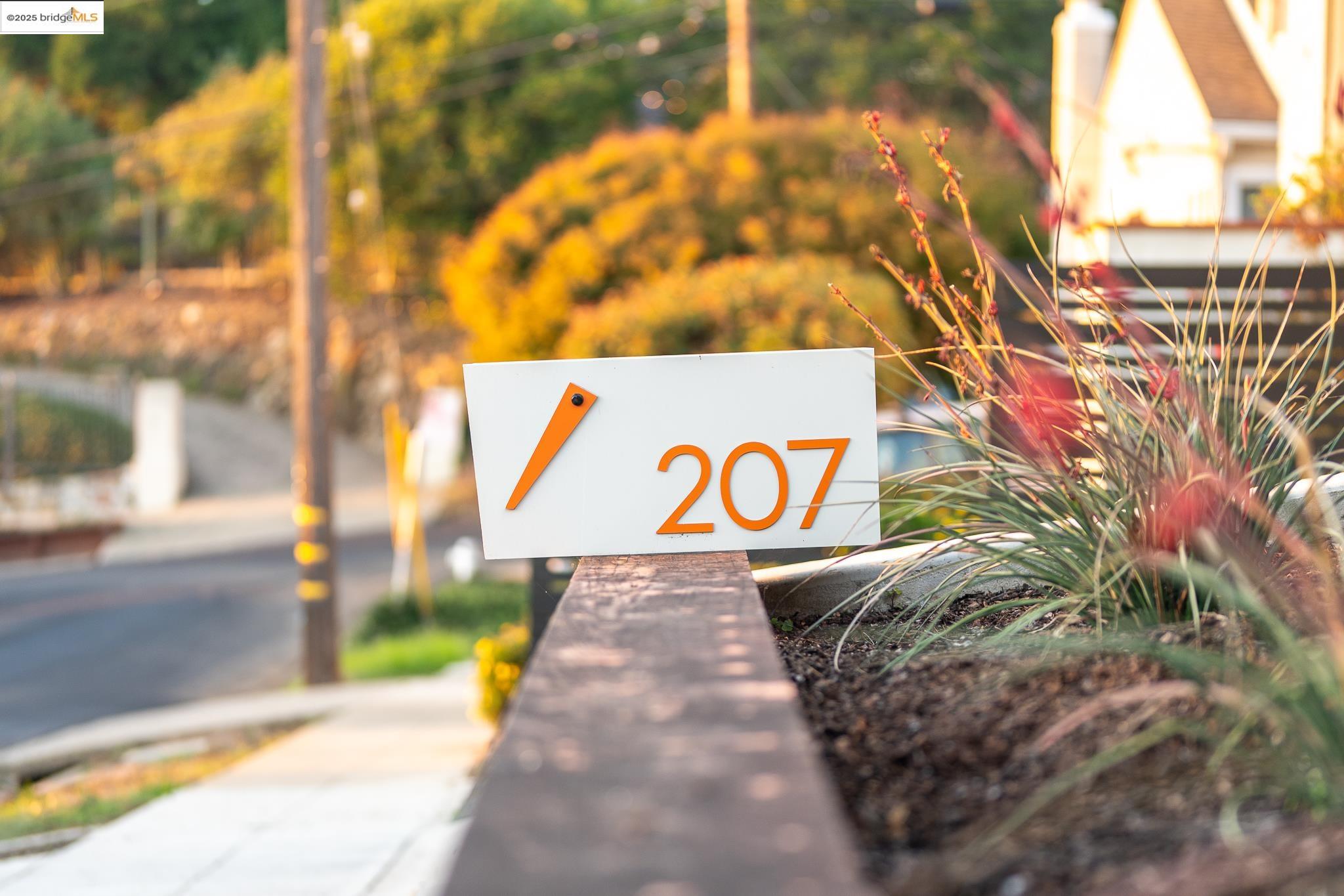 Detail Gallery Image 3 of 47 For 207 Cambridge Ave, Kensington,  CA 94708 - 3 Beds | 2 Baths