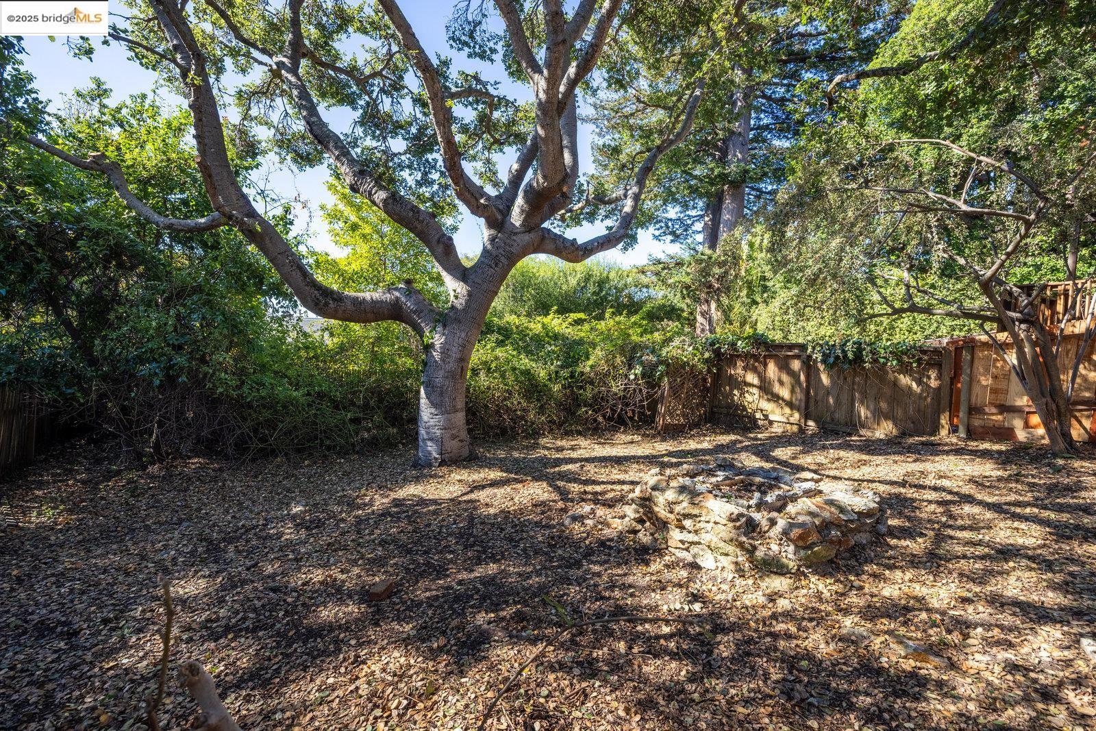 Detail Gallery Image 35 of 42 For 1124 Walnut St, Berkeley,  CA 94707 - 2 Beds | 1 Baths