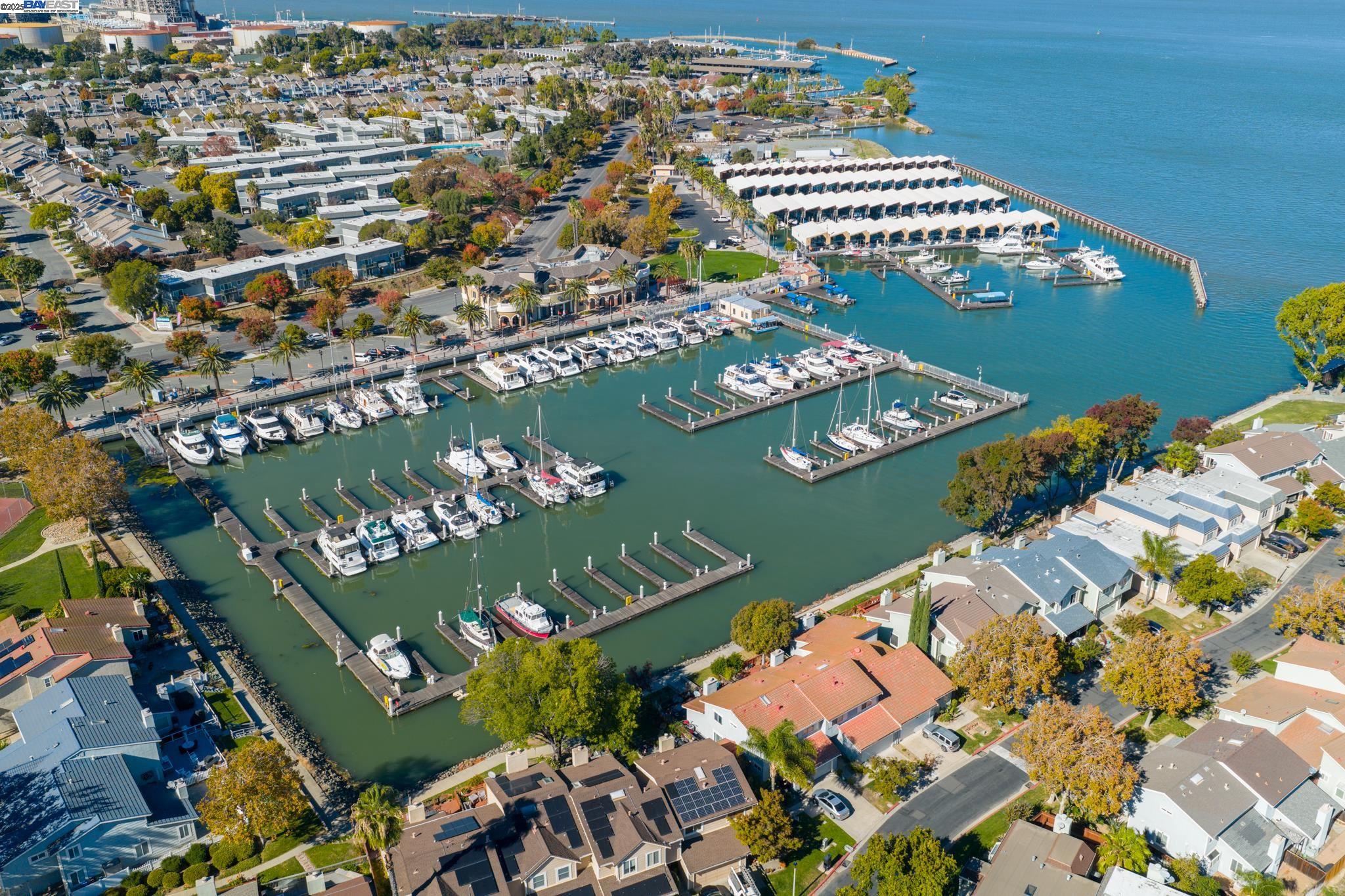 Photo #51: 41116200 Listing: Photo #51