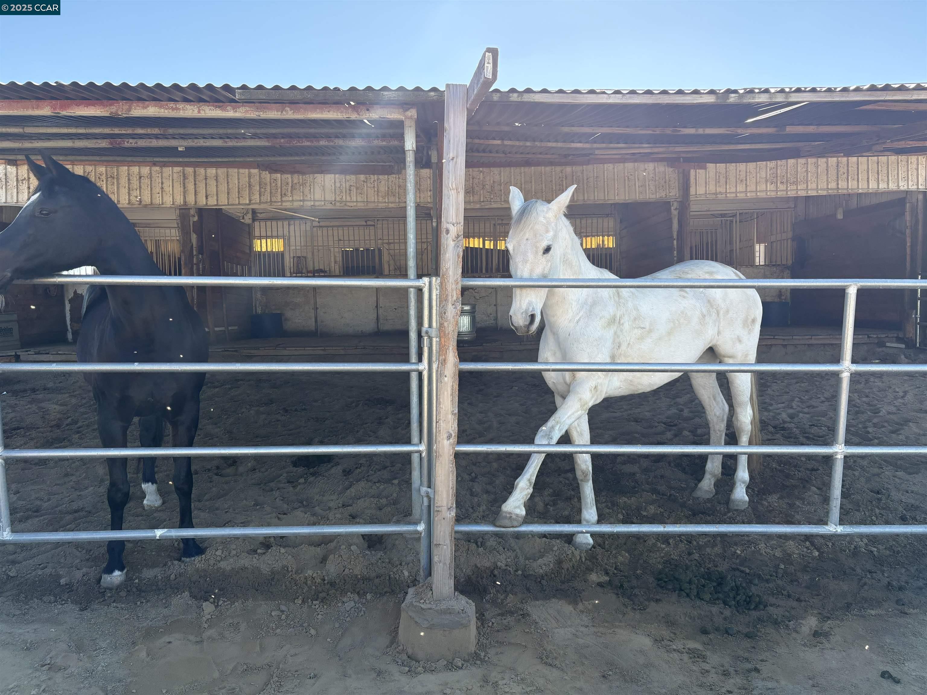 Detail Gallery Image 23 of 45 For 4169 Knightsen Ave, Oakley,  CA 94561 - 3 Beds | 2 Baths
