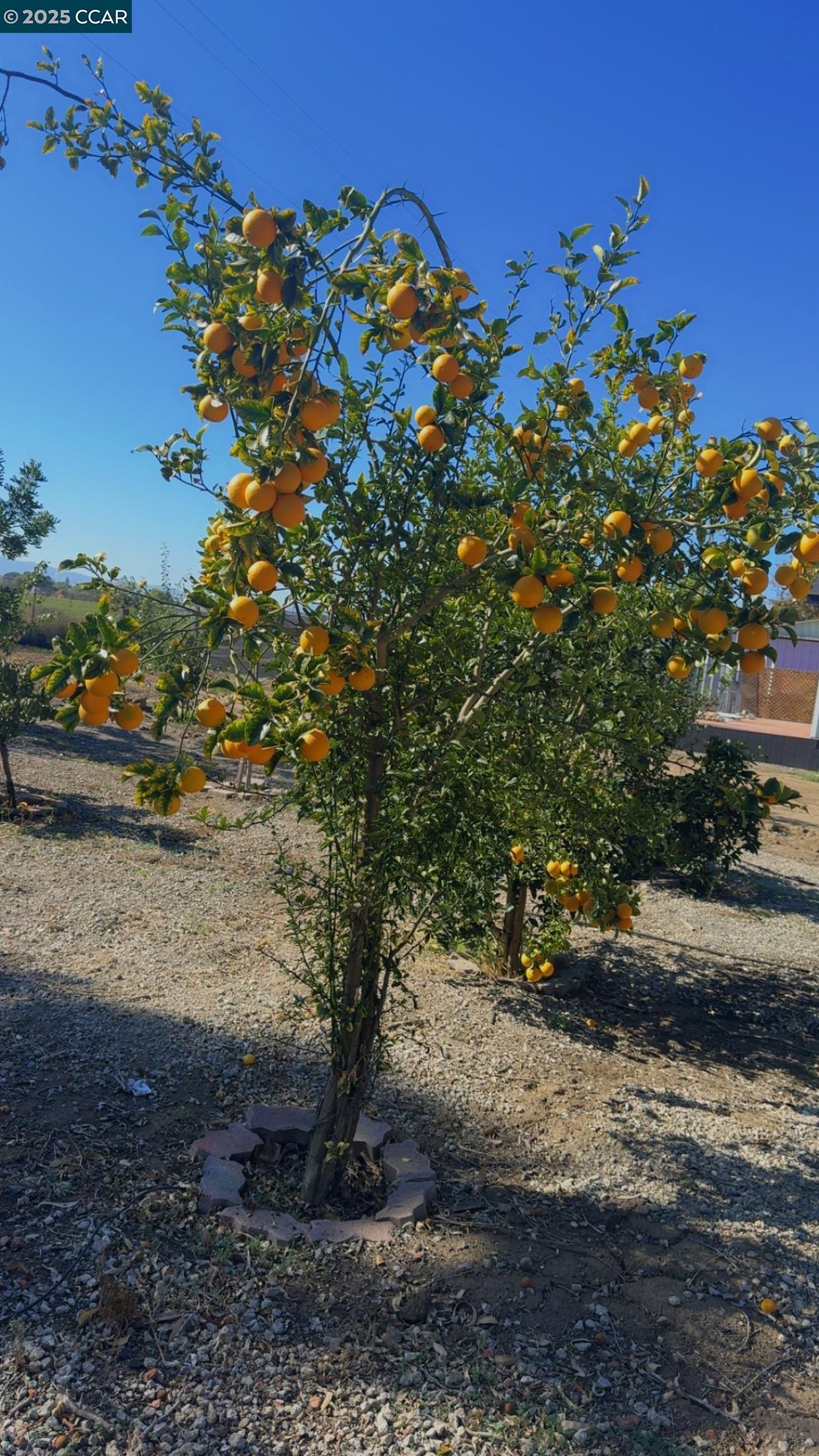 Detail Gallery Image 36 of 45 For 4169 Knightsen Ave, Oakley,  CA 94561 - 3 Beds | 2 Baths