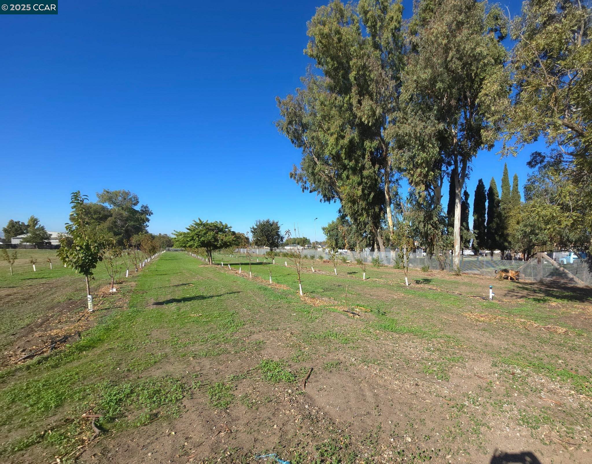 Detail Gallery Image 38 of 45 For 4169 Knightsen Ave, Oakley,  CA 94561 - 3 Beds | 2 Baths