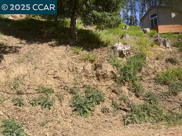 Detail Gallery Image 5 of 11 For 0000 Woodrow Drive, Oakland,  CA 94611 - – Beds | – Baths