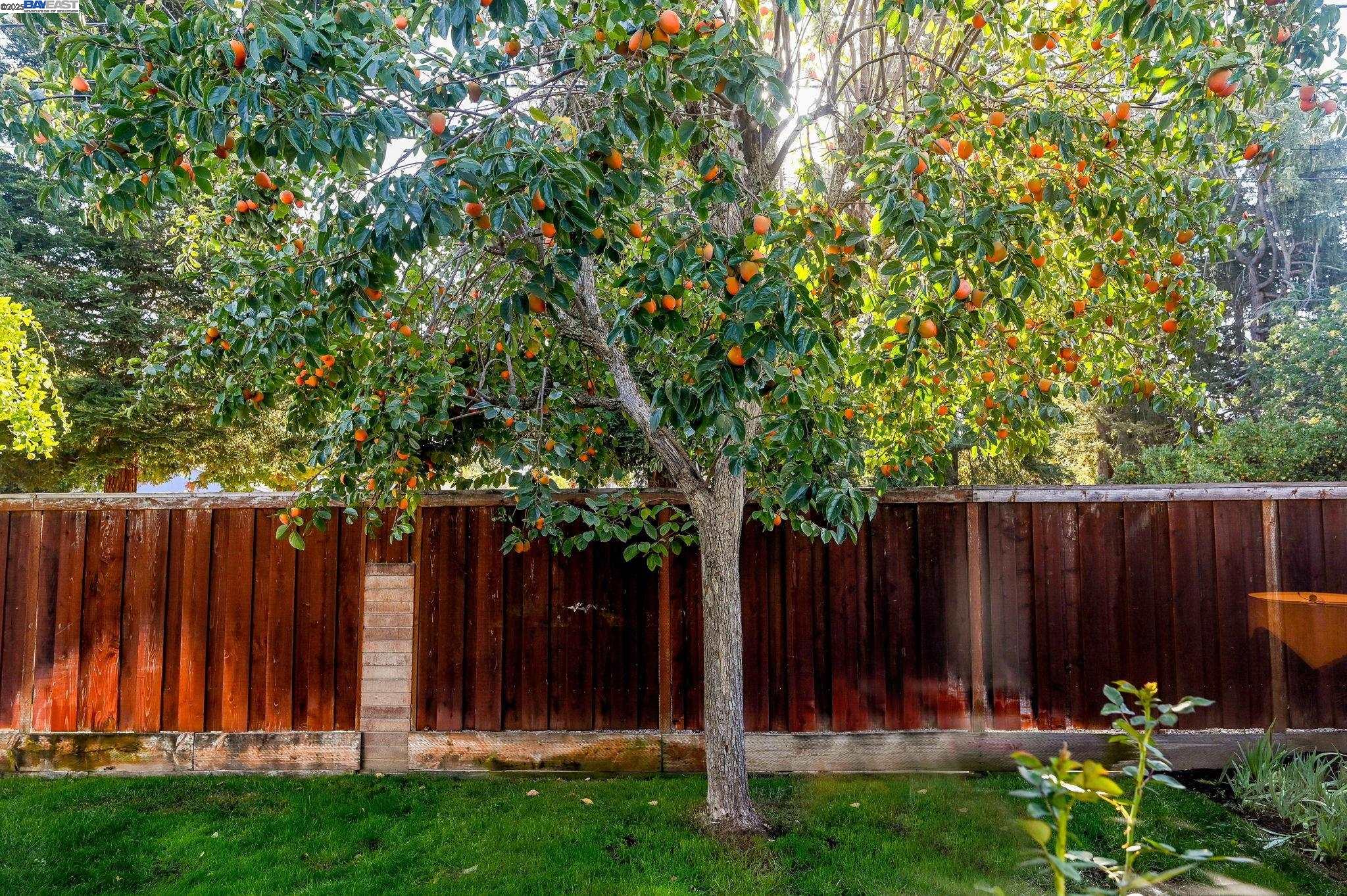 Detail Gallery Image 31 of 34 For 1732 Elmhurst Lane, Concord,  CA 94521 - 4 Beds | 2 Baths