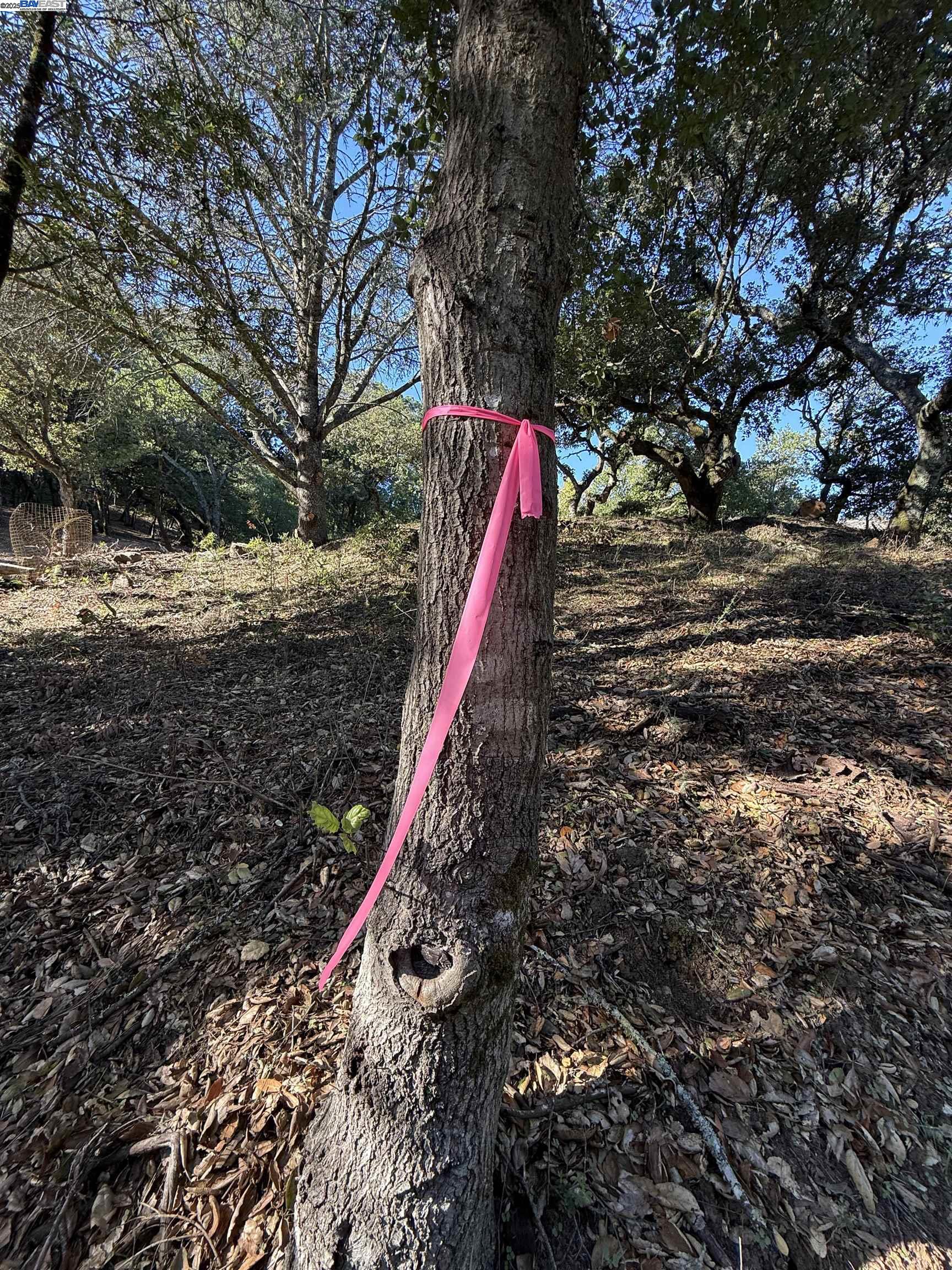 Detail Gallery Image 12 of 40 For 0 Vista Del, Orinda,  CA 94563 - – Beds | – Baths