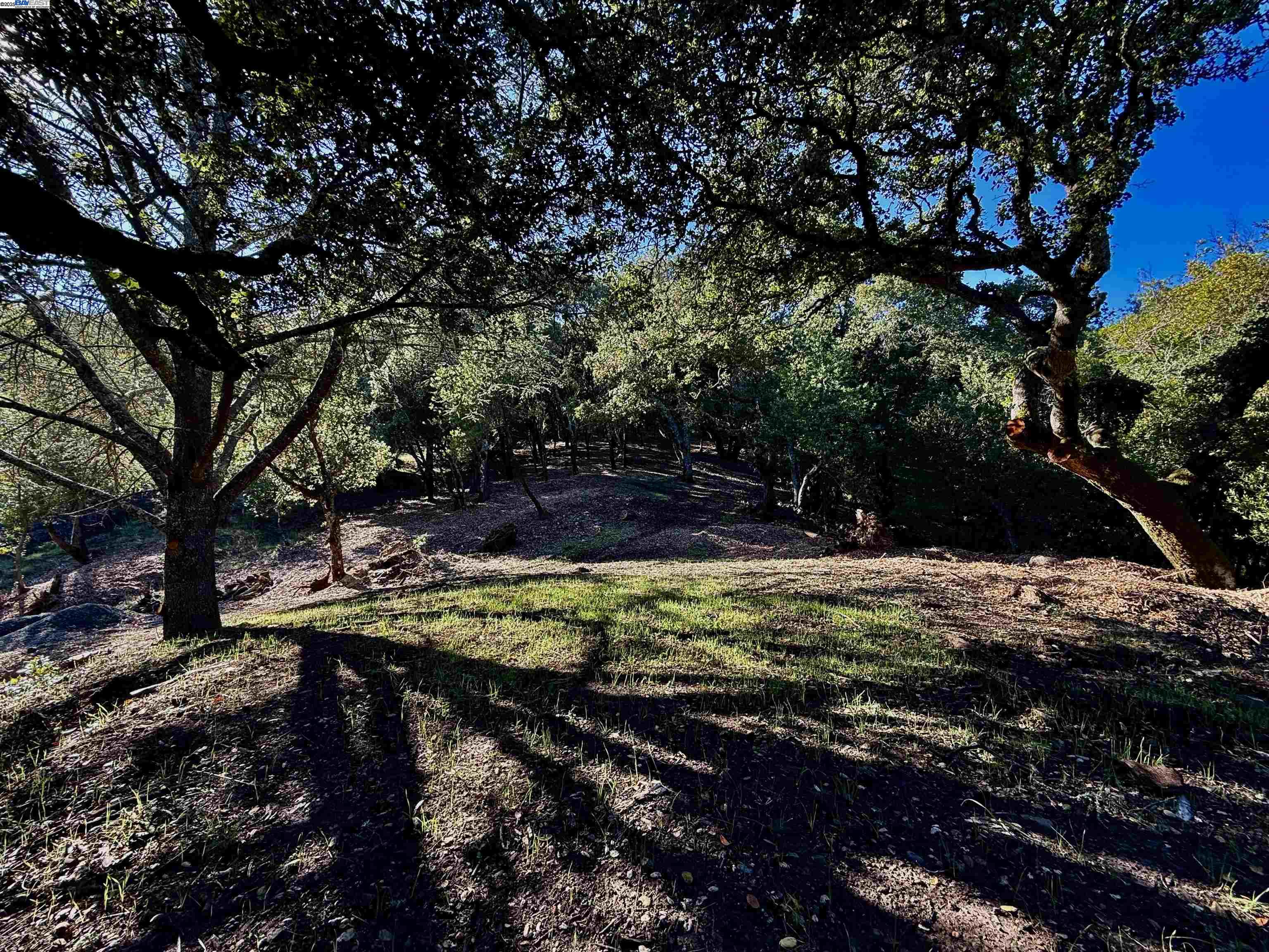 Detail Gallery Image 13 of 40 For 0 Vista Del, Orinda,  CA 94563 - – Beds | – Baths