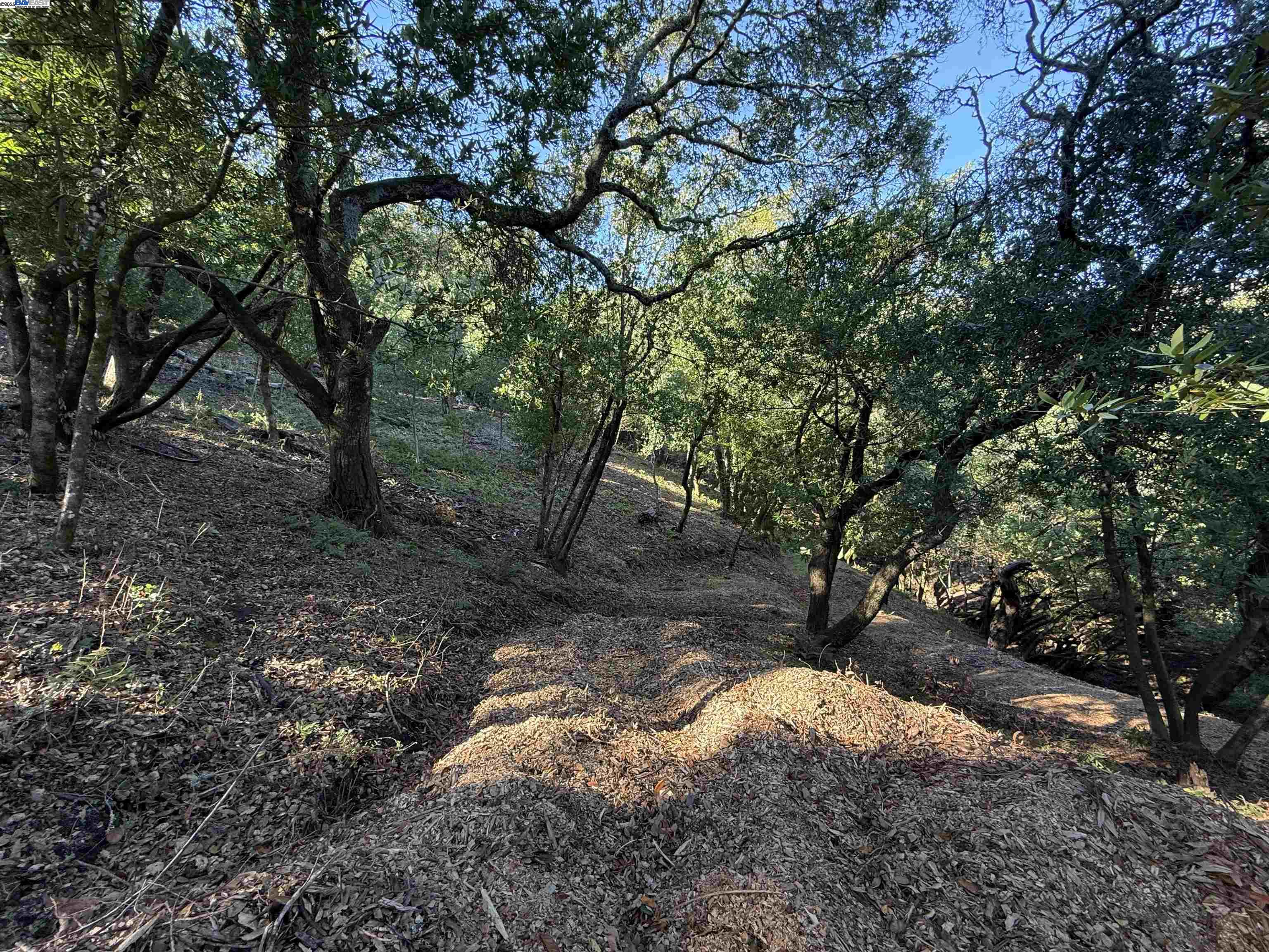 Detail Gallery Image 14 of 40 For 0 Vista Del, Orinda,  CA 94563 - – Beds | – Baths